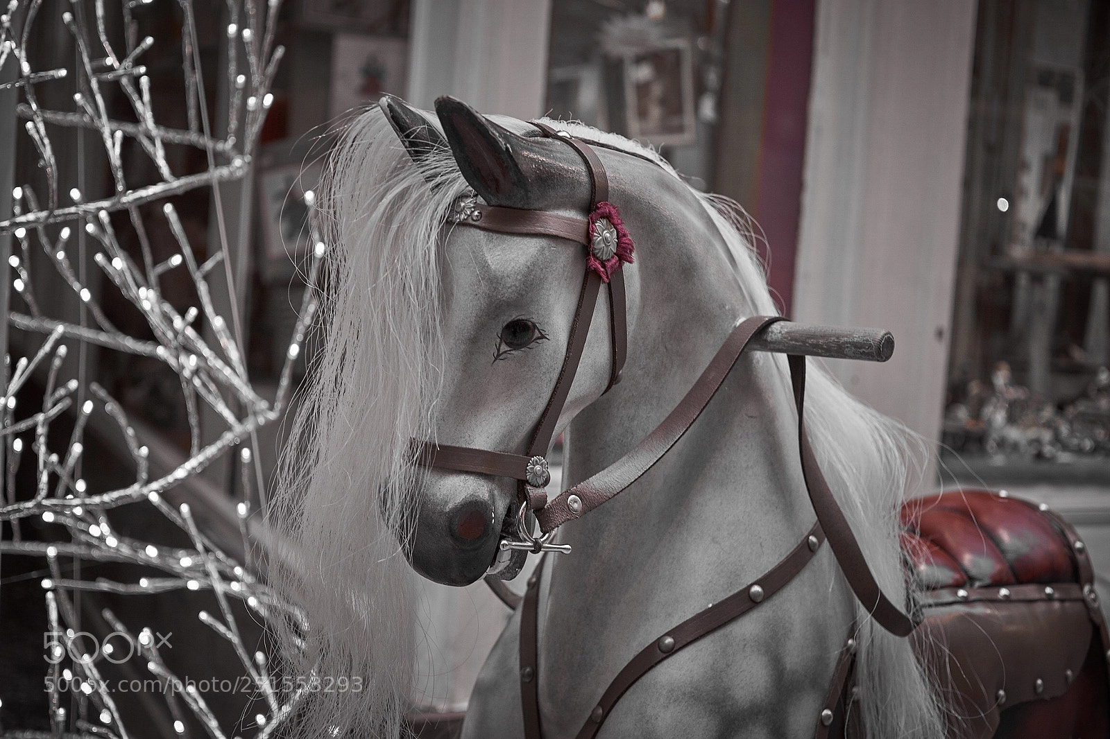 Sony a6000 sample photo. Trojan horse into your photography