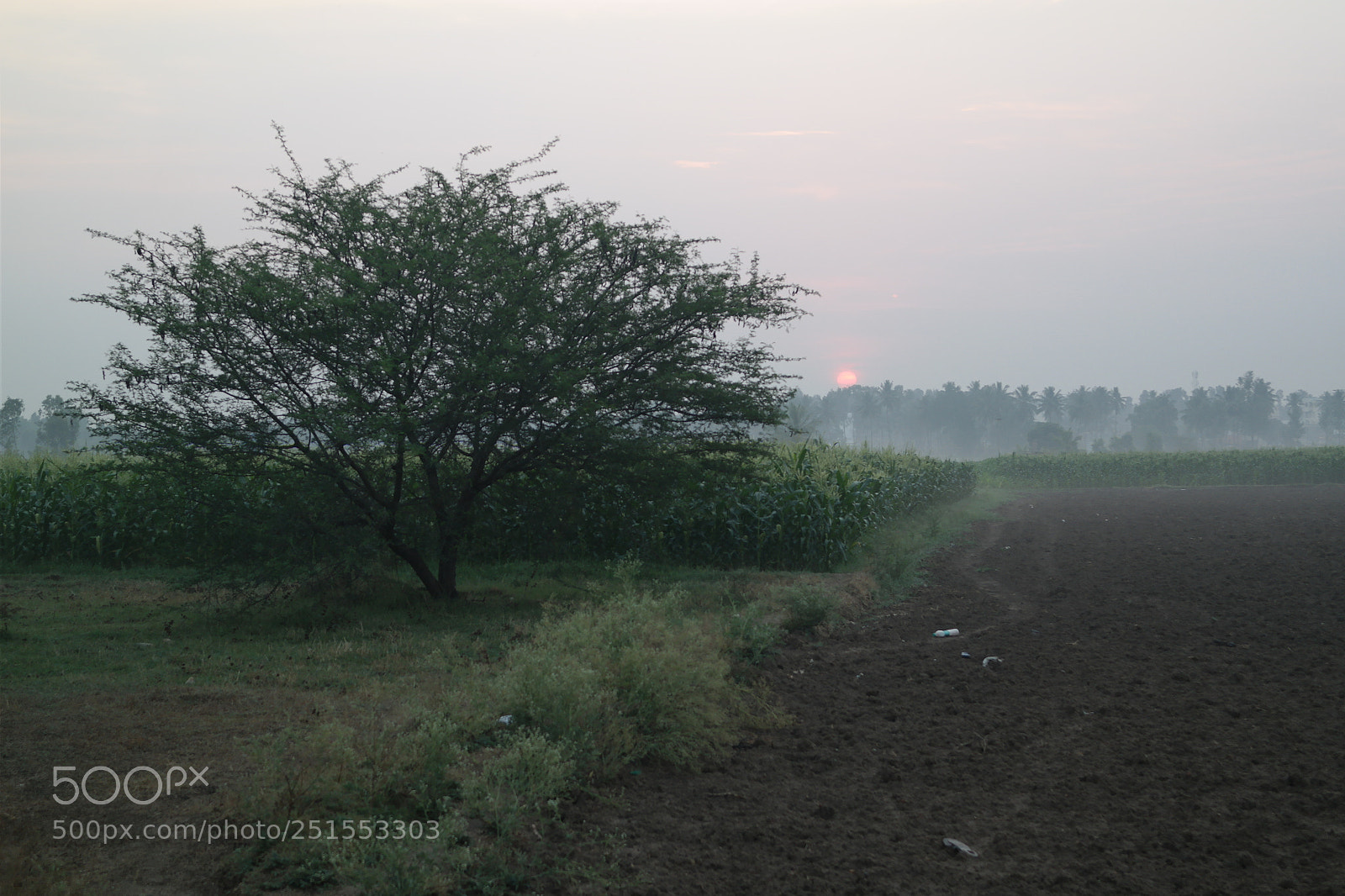 Samsung NX2000 sample photo. Morning ride through bangalore photography