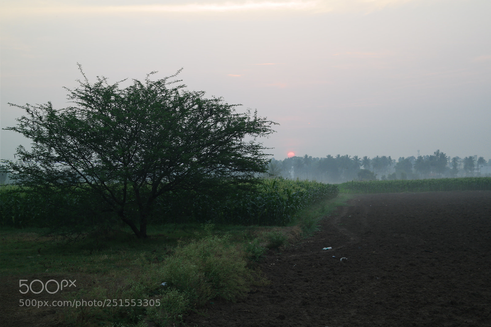 Samsung NX2000 sample photo. Morning ride through bangalore photography