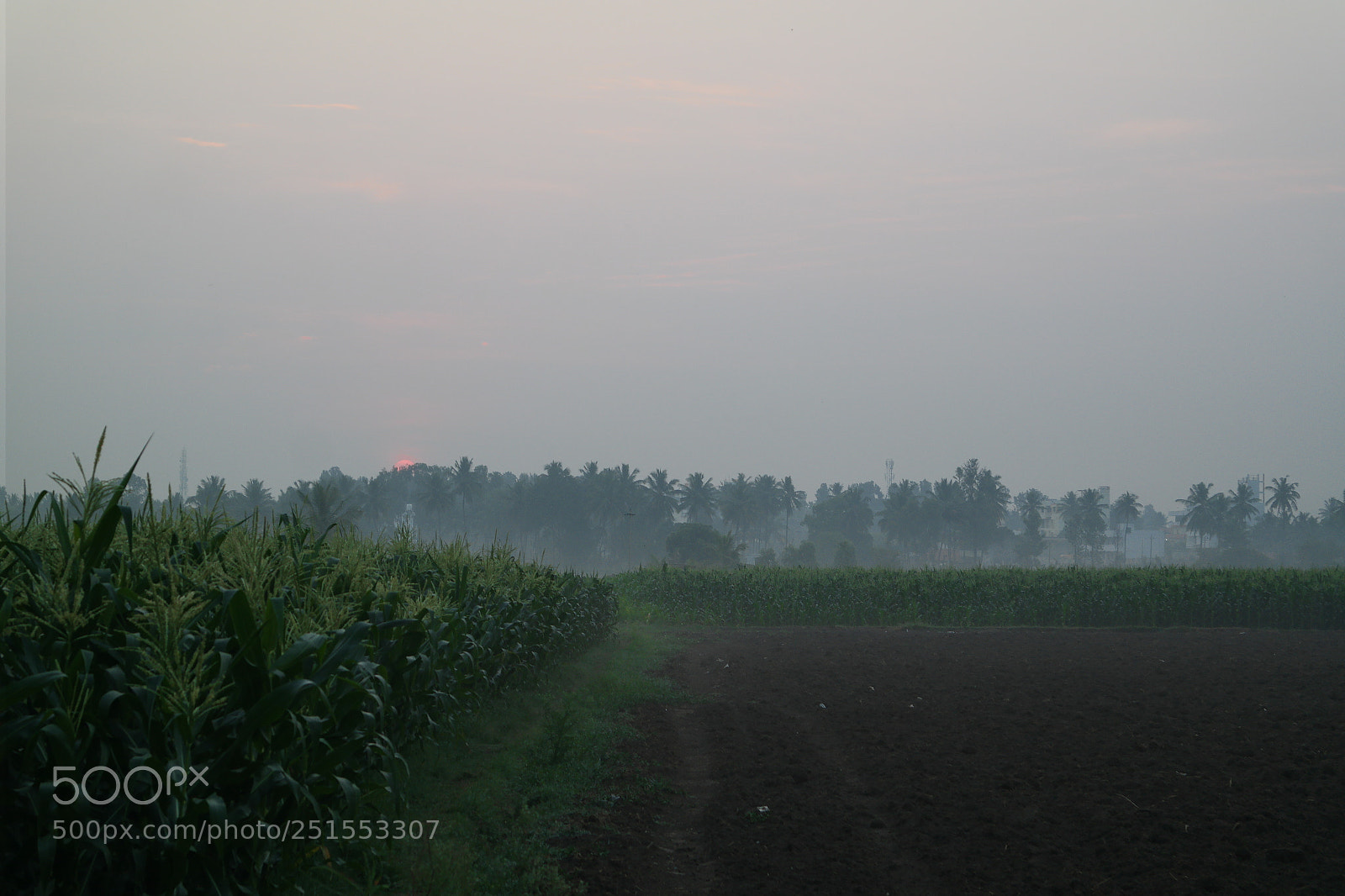 Samsung NX2000 sample photo. Morning ride through bangalore photography