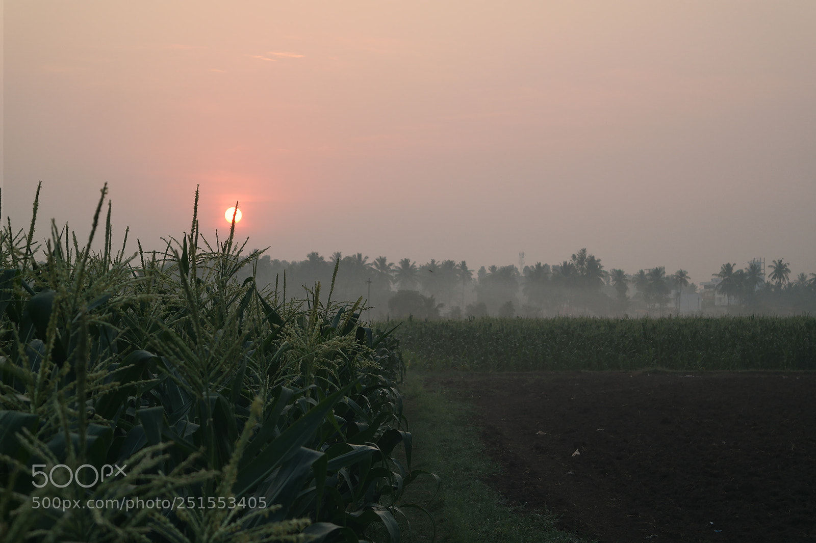 Samsung NX2000 sample photo. Morning ride through bangalore photography