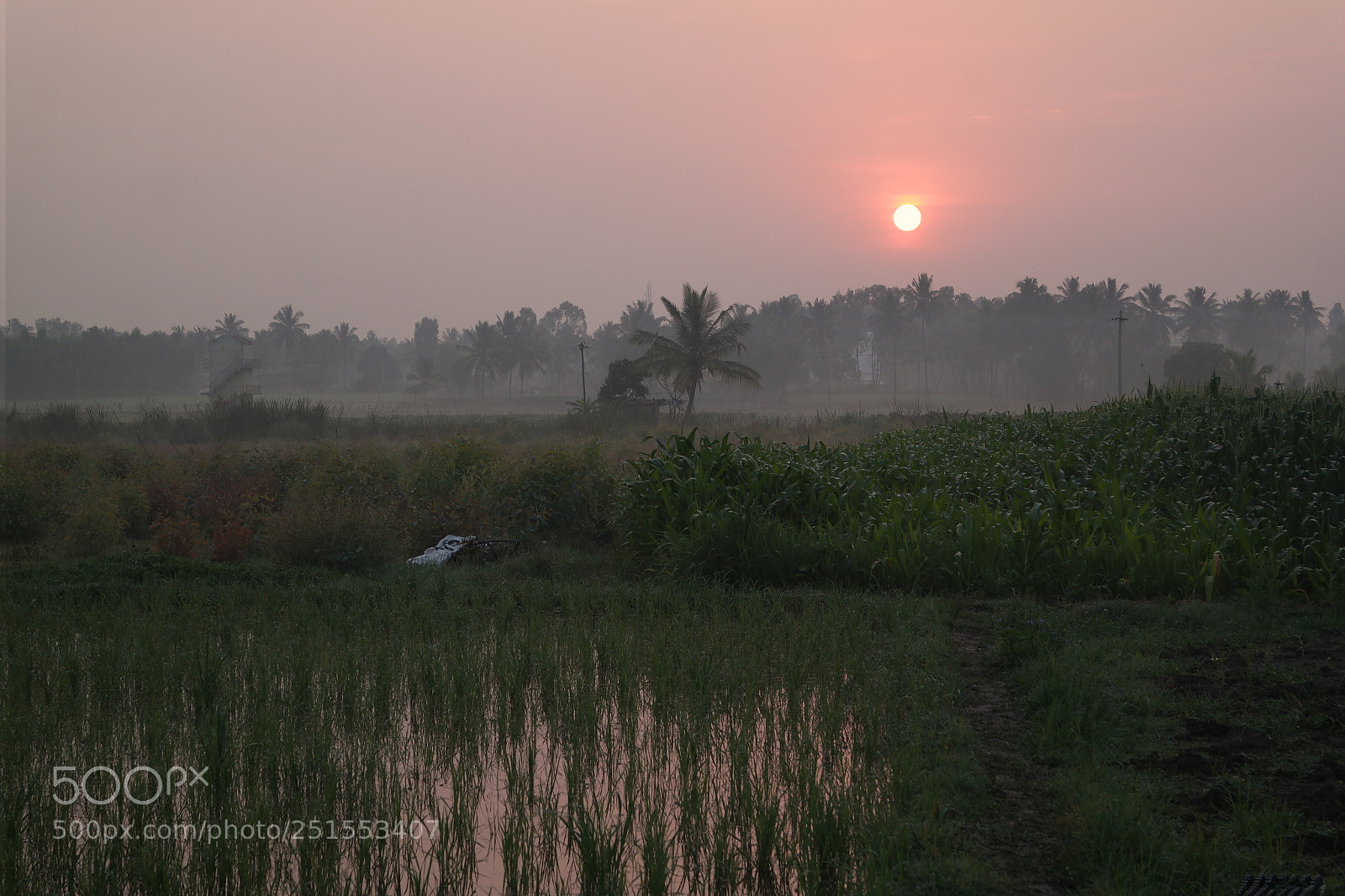 Samsung NX2000 sample photo. Morning ride through bangalore photography