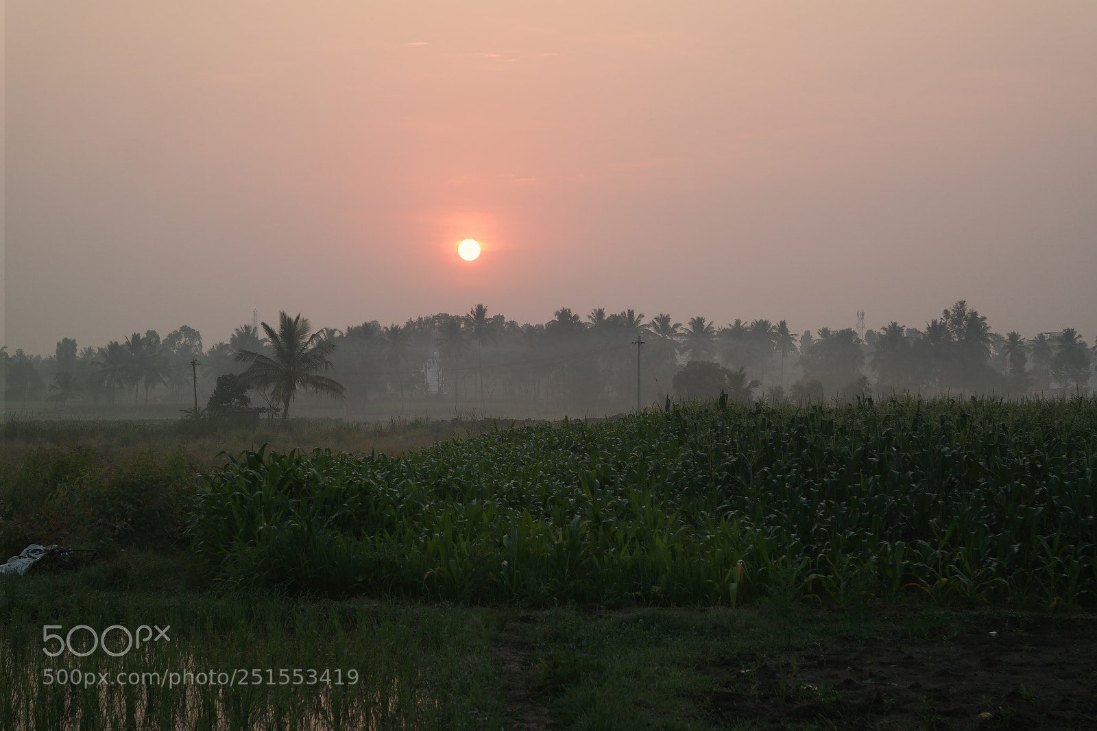 Samsung NX2000 sample photo. Morning ride through bangalore photography