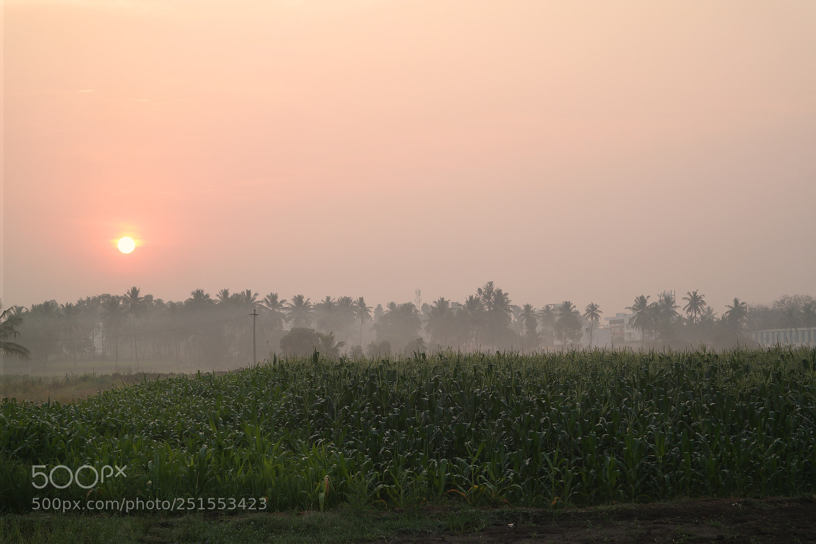 Samsung NX2000 sample photo. Morning ride through bangalore photography