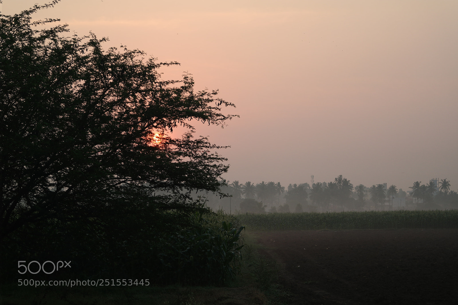 Samsung NX2000 sample photo. Morning ride through bangalore photography