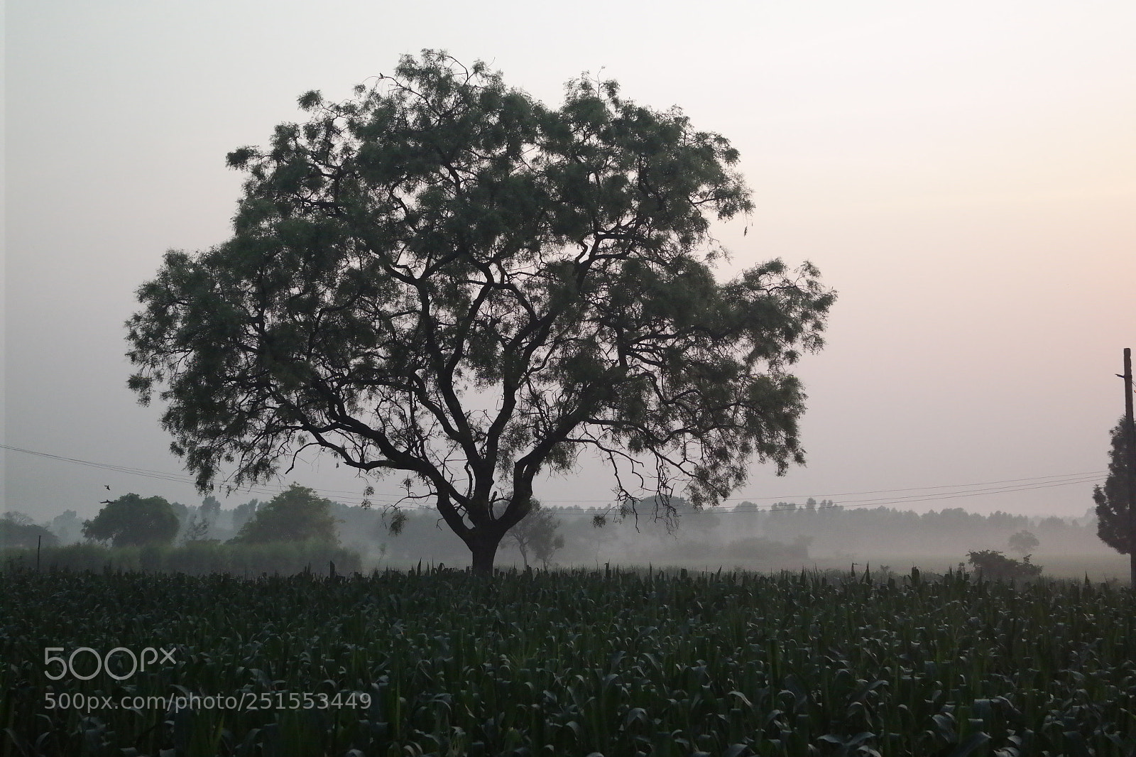 Samsung NX2000 sample photo. Morning ride through bangalore photography