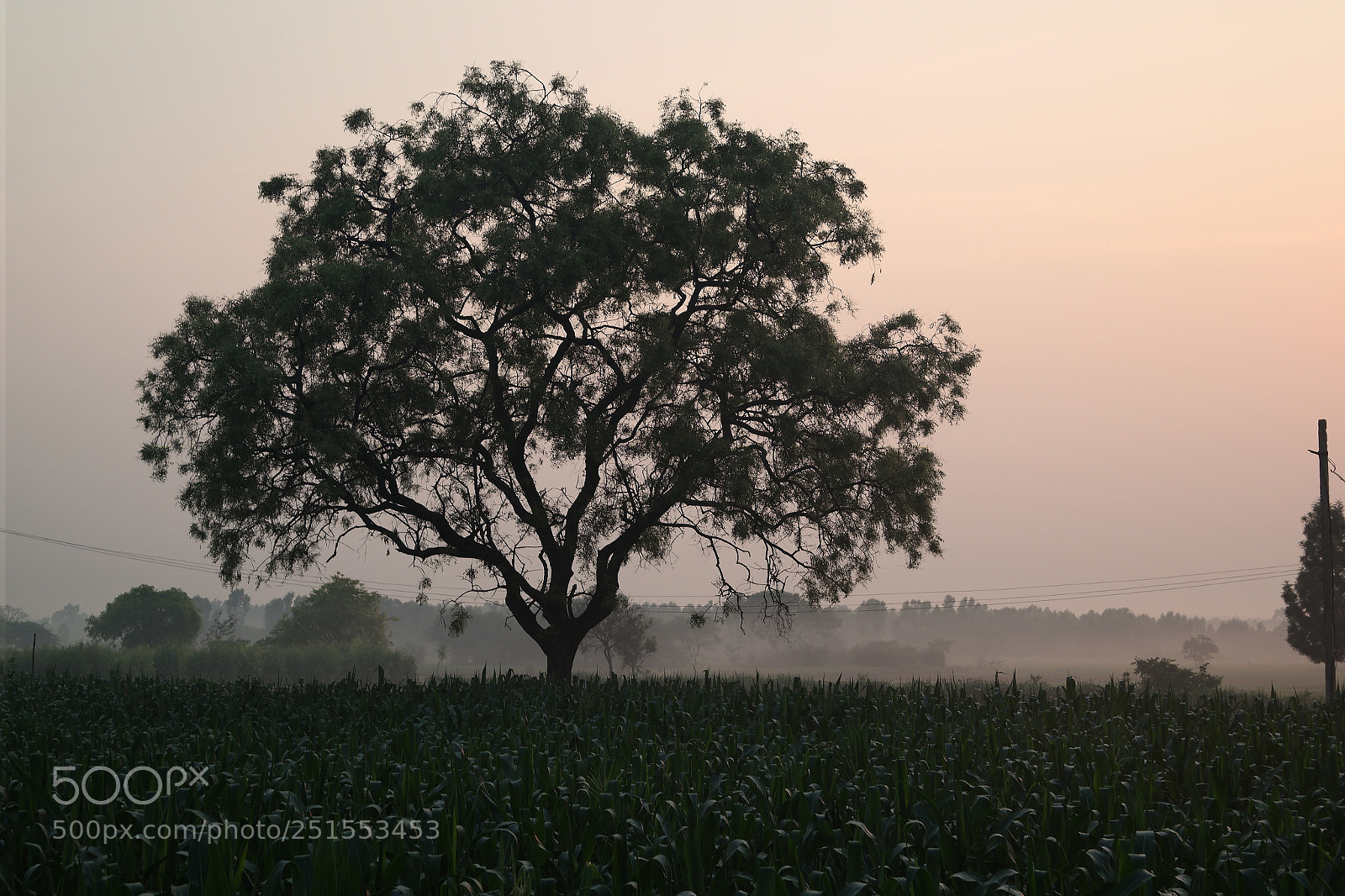Samsung NX2000 sample photo. Morning ride through bangalore photography