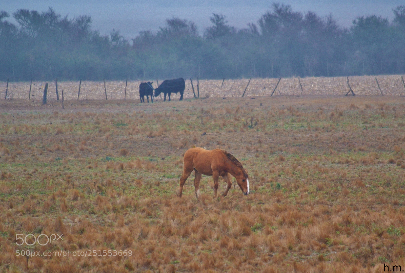Nikon D3100 sample photo. Aeeeba o photography