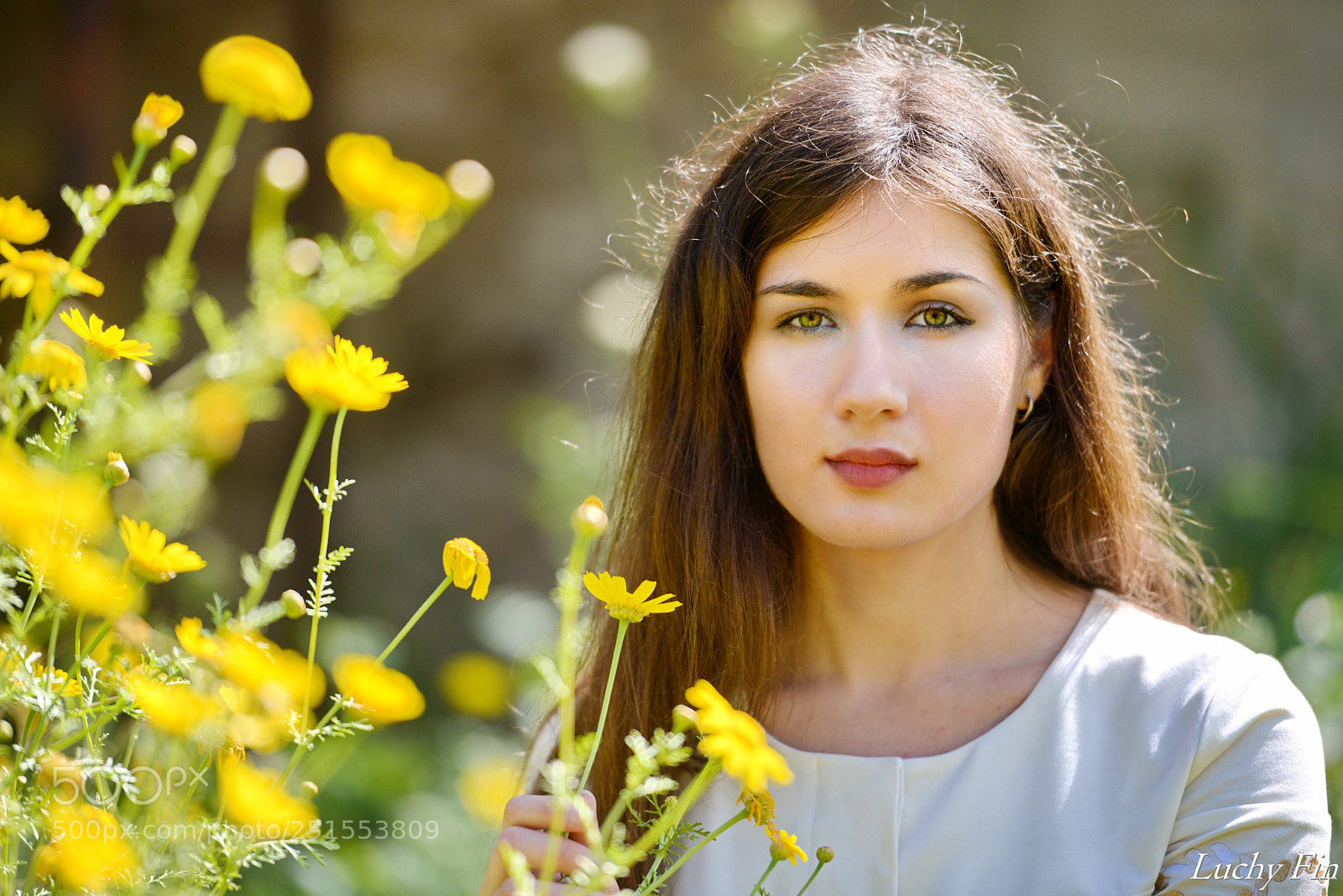 Nikon D800 sample photo. Vic photography