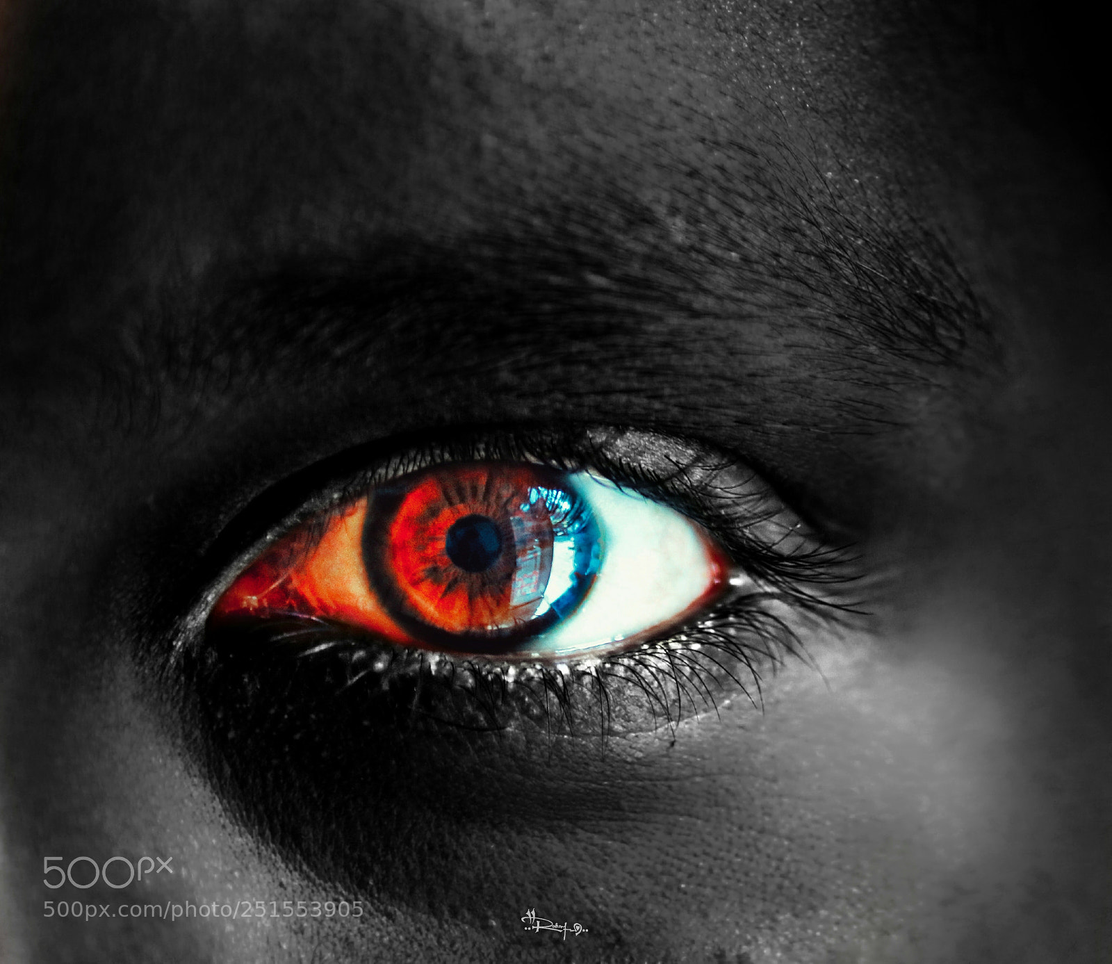 Canon EOS 750D (EOS Rebel T6i / EOS Kiss X8i) sample photo. Eye ❤ photography