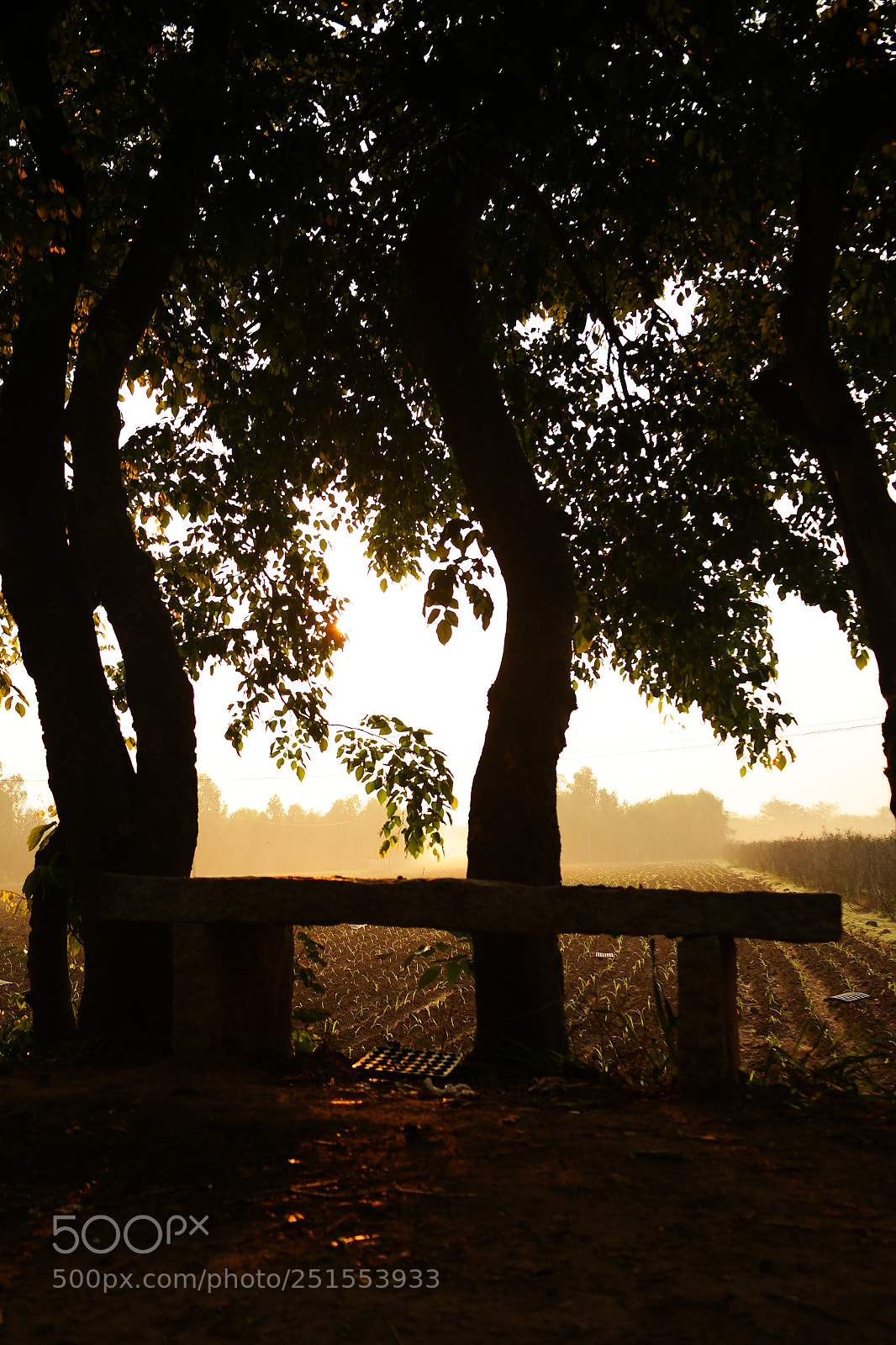 Samsung NX2000 sample photo. Golden sunrise throgh my photography
