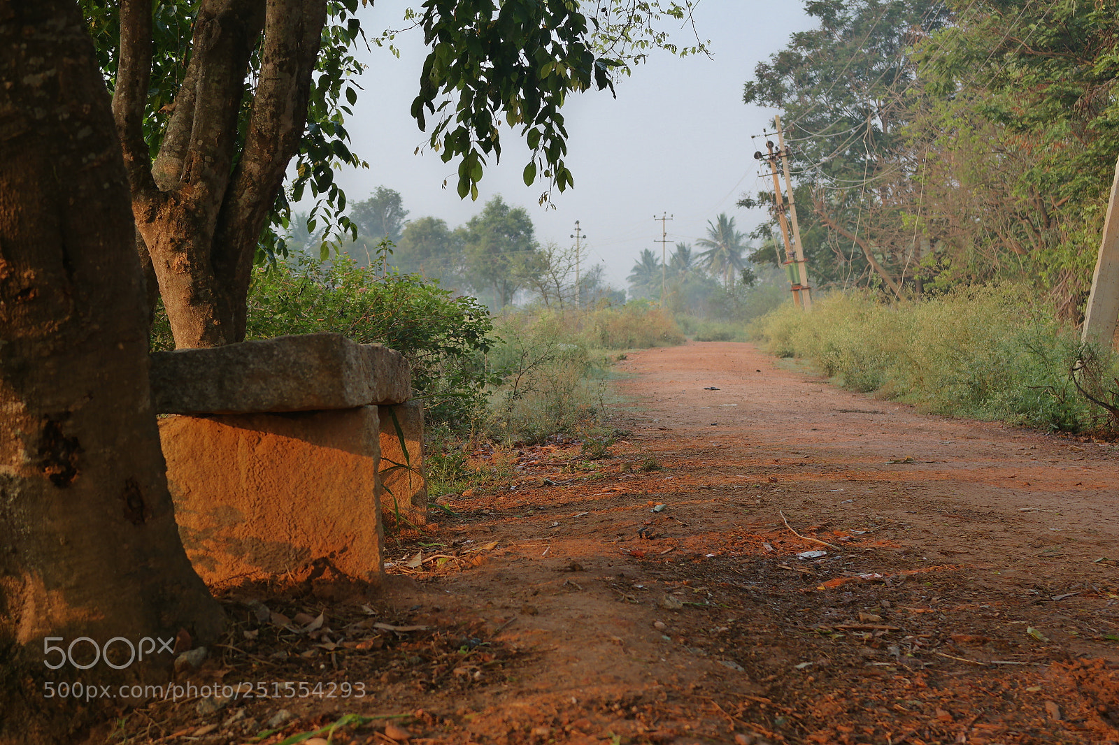 Samsung NX2000 sample photo. Golden sunrise throgh my photography