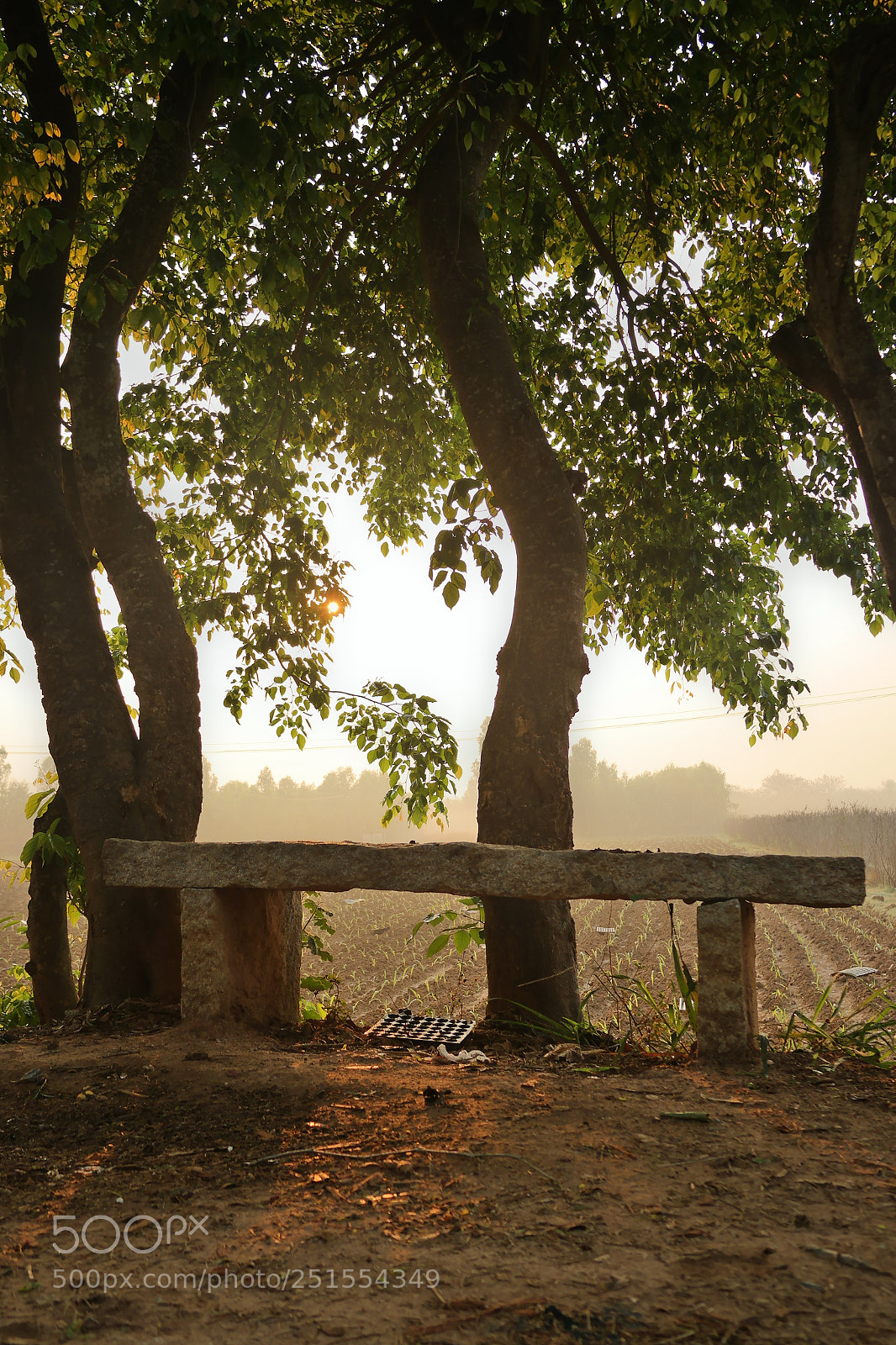 Samsung NX2000 sample photo. Golden sunrise throgh my photography