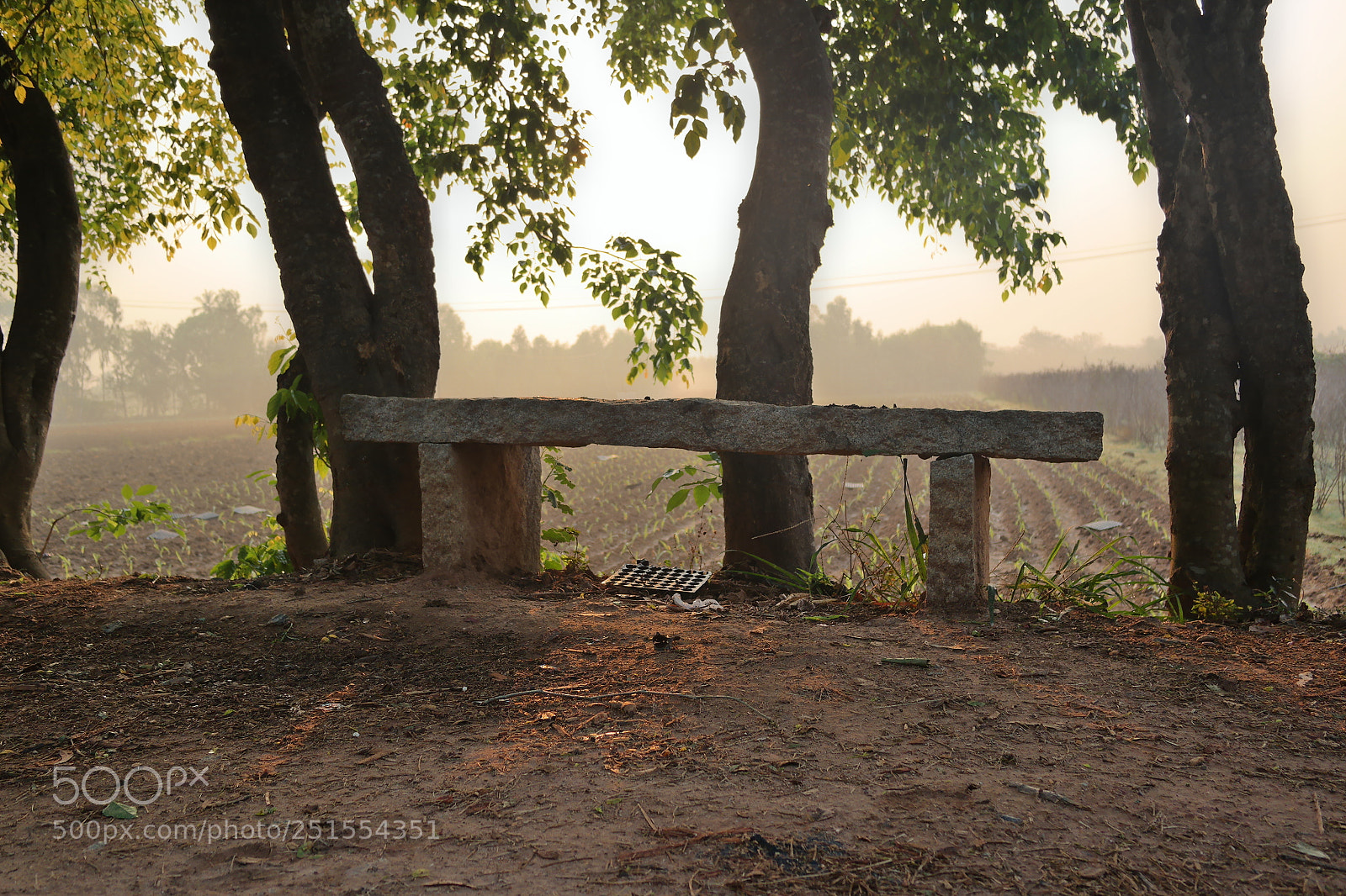 Samsung NX2000 sample photo. Golden sunrise throgh my photography