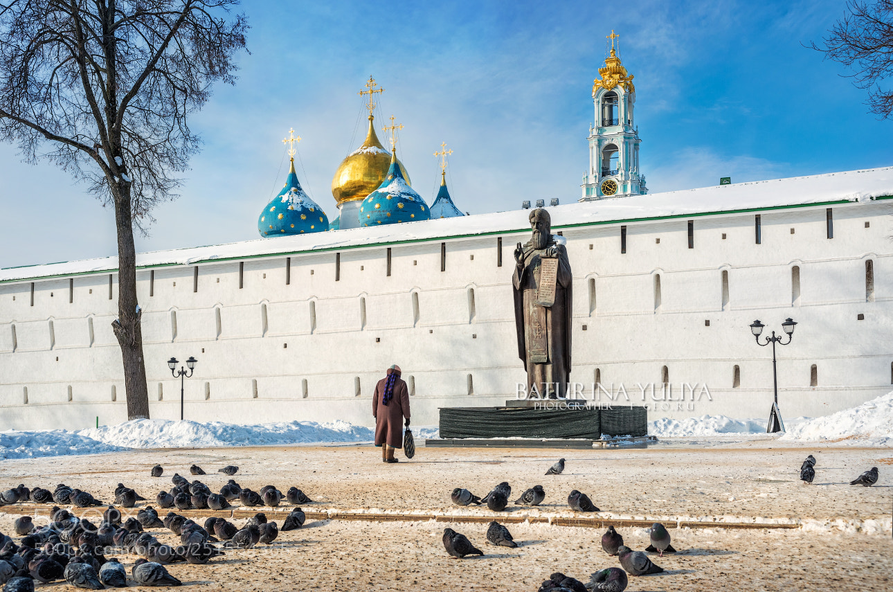 Nikon D800 sample photo. Monument to sergius of photography