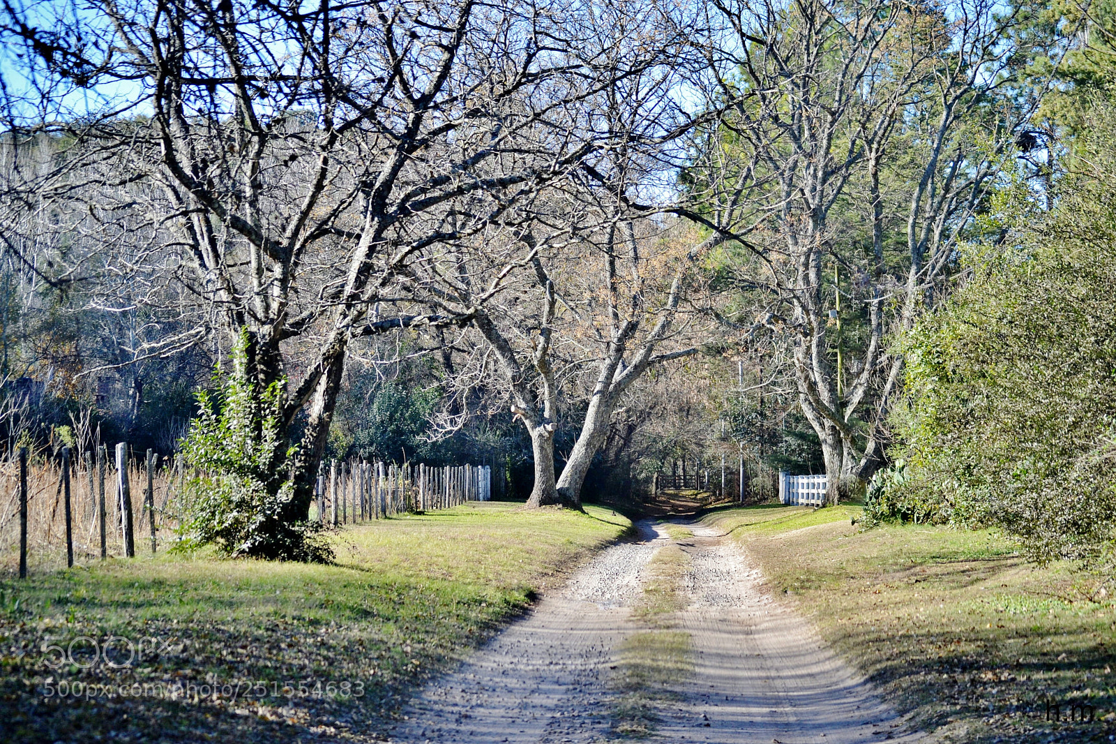 Nikon D3100 sample photo. Bdbo photography