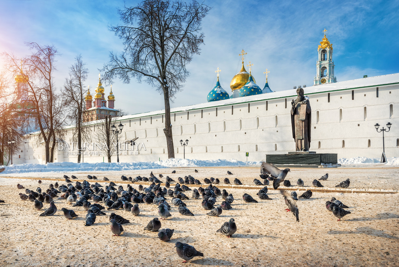 Nikon D800 sample photo. Monument to sergius of photography