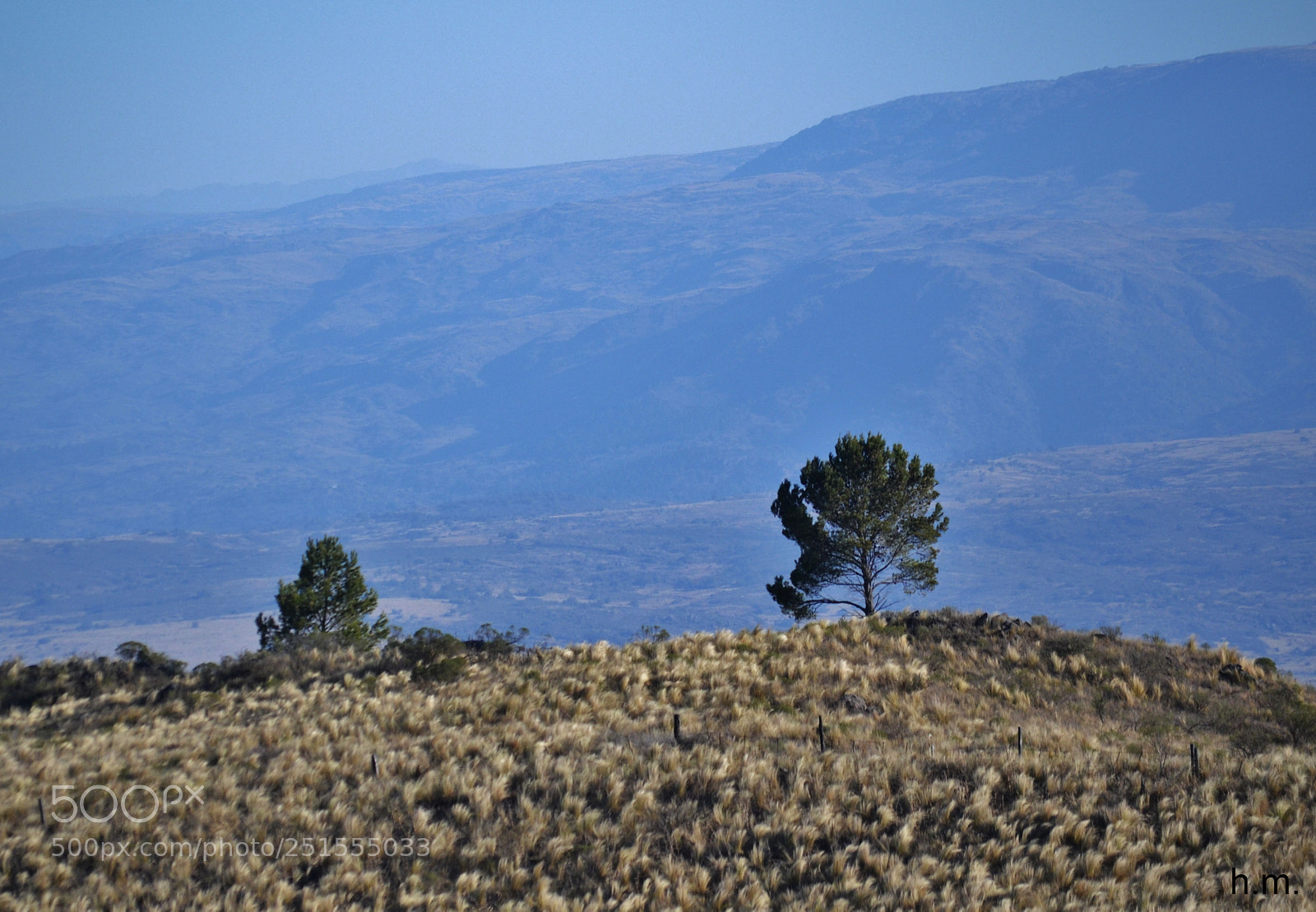 Nikon D3100 sample photo. Fbo photography