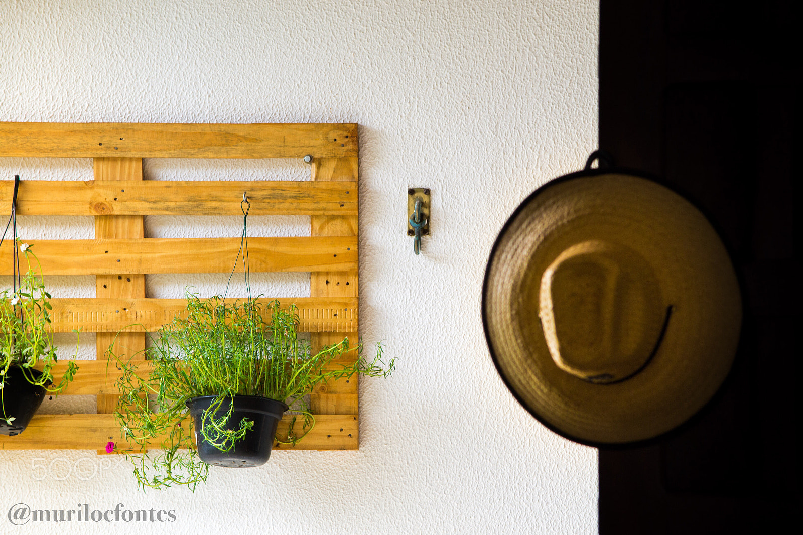 Nikon D3100 sample photo. Untitled photography