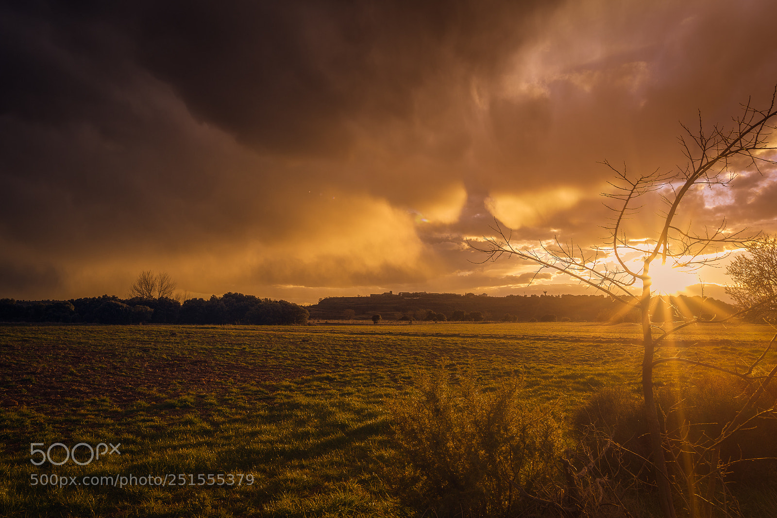 Nikon D810 sample photo. A shaft of sunlight photography