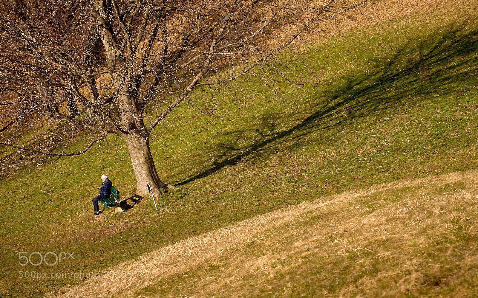 Nikon D810 sample photo. Sunbath_2188 1.jpg photography
