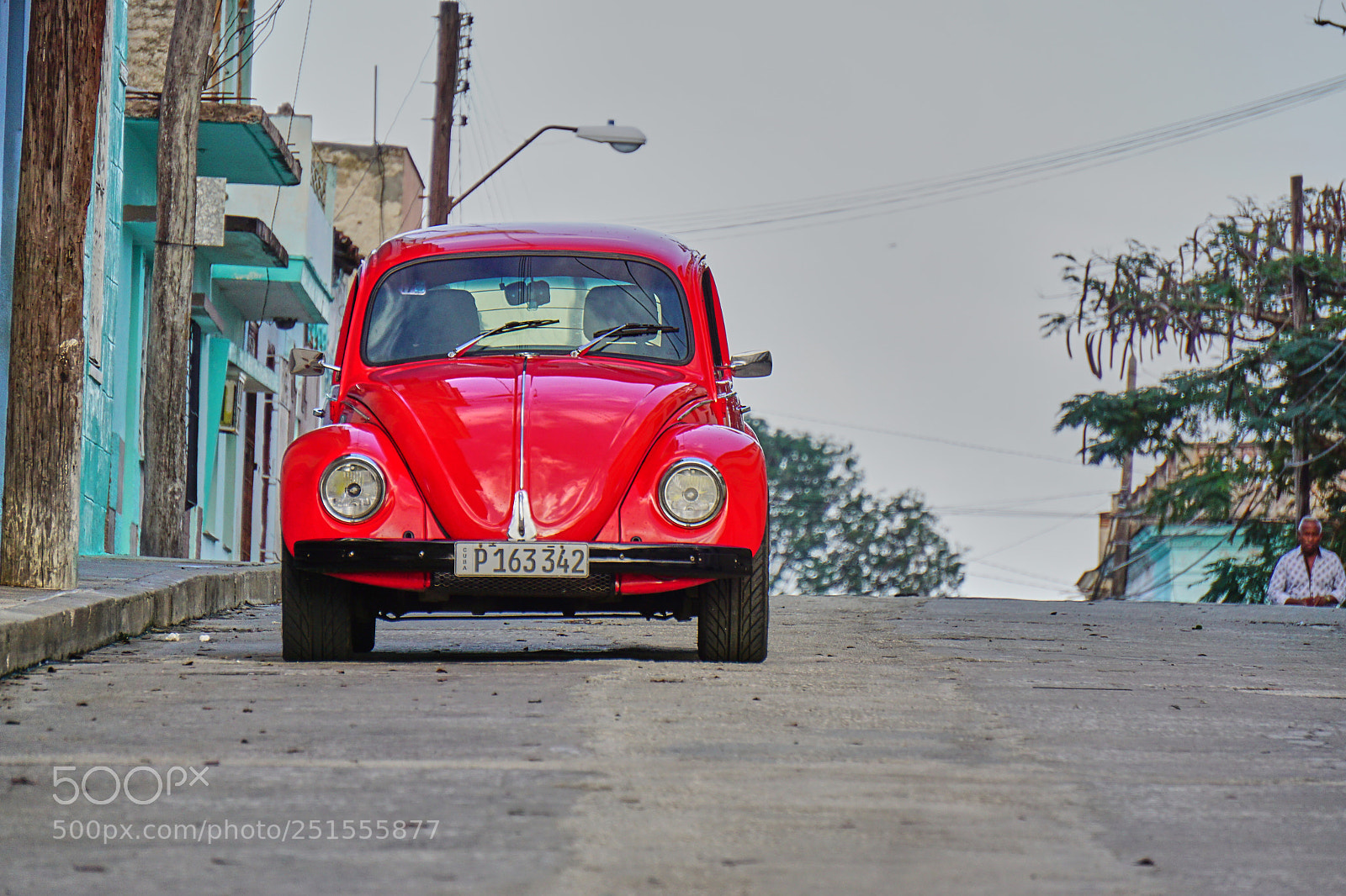 Sony a6000 sample photo. Red photography