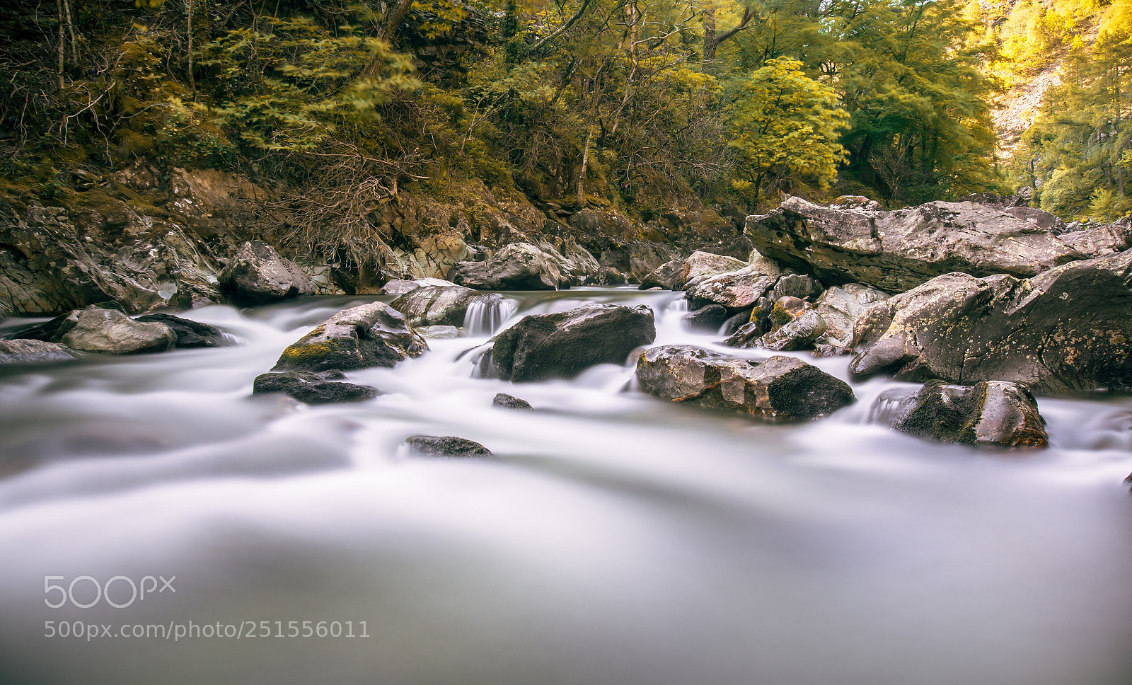 Nikon D7200 sample photo. The calm of nature photography