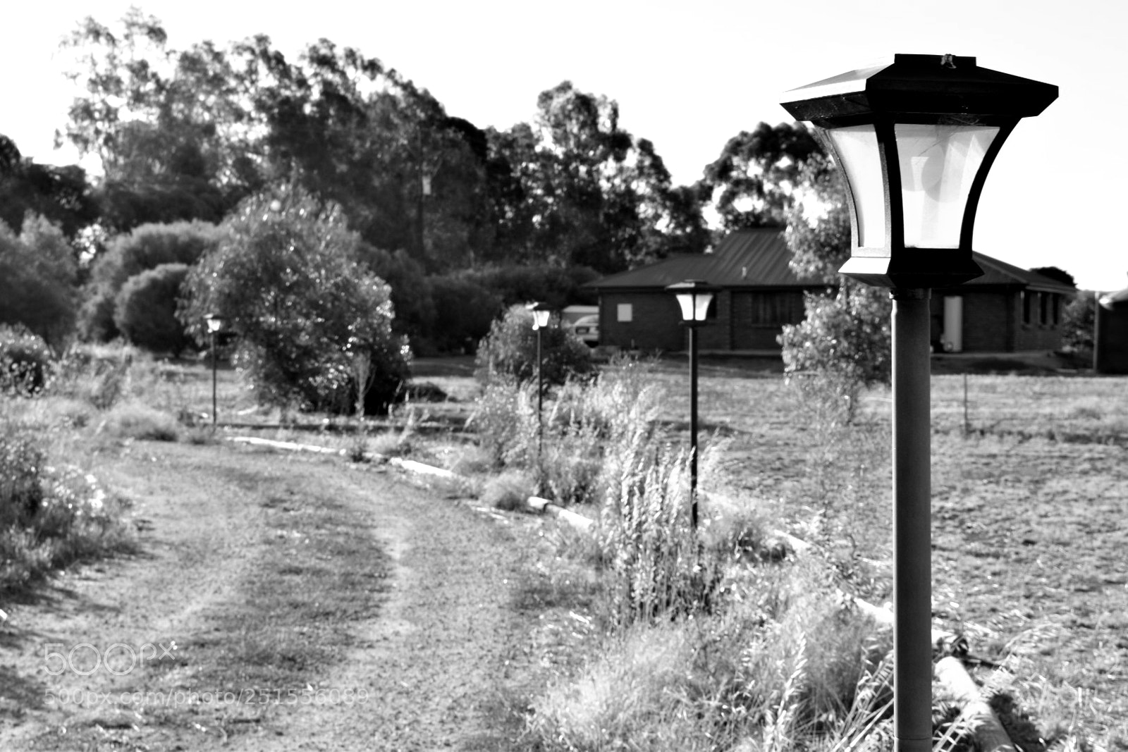 Nikon D5600 sample photo. Leading lines photography