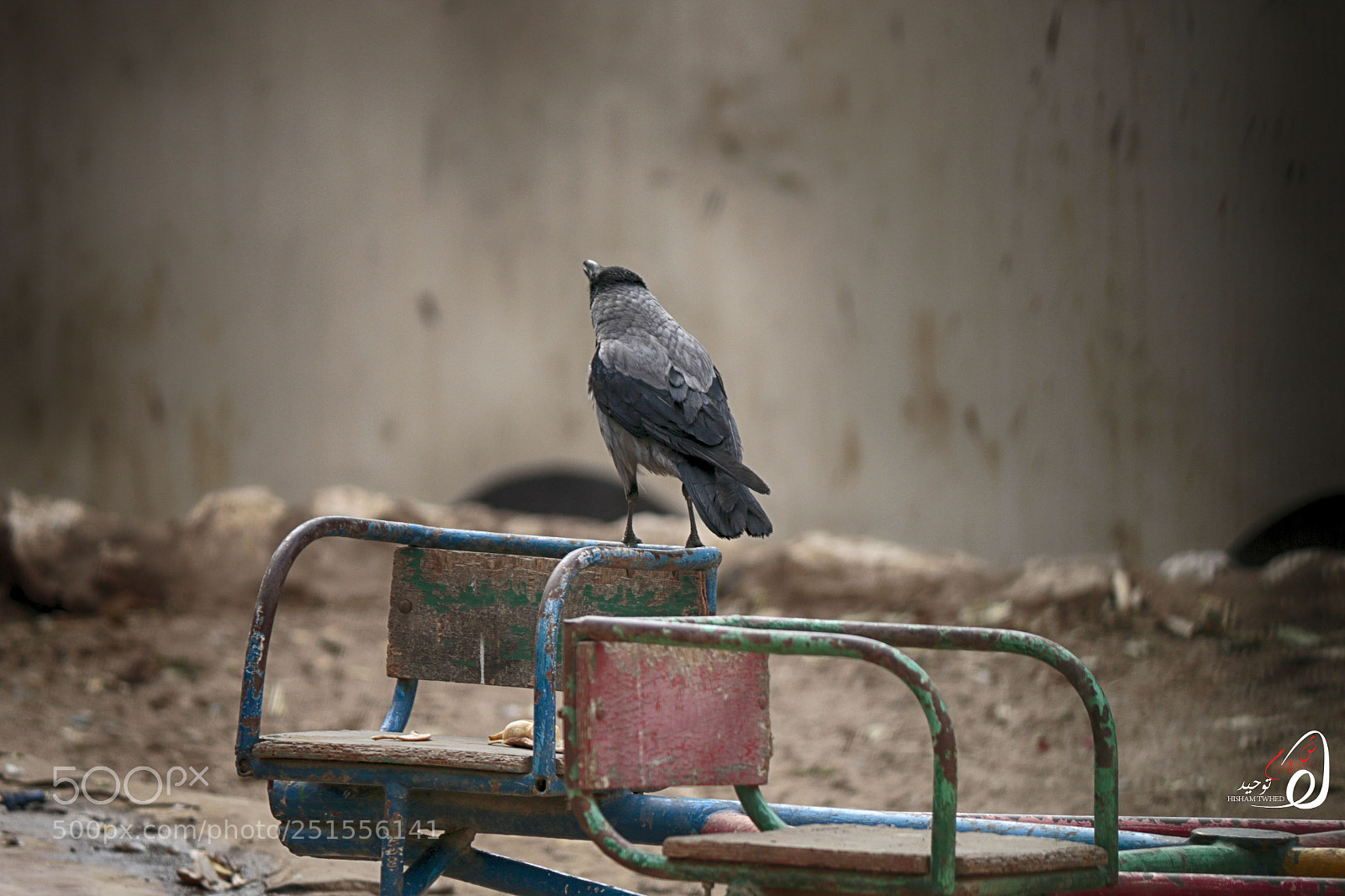 Canon EOS 70D sample photo. Ht () photography