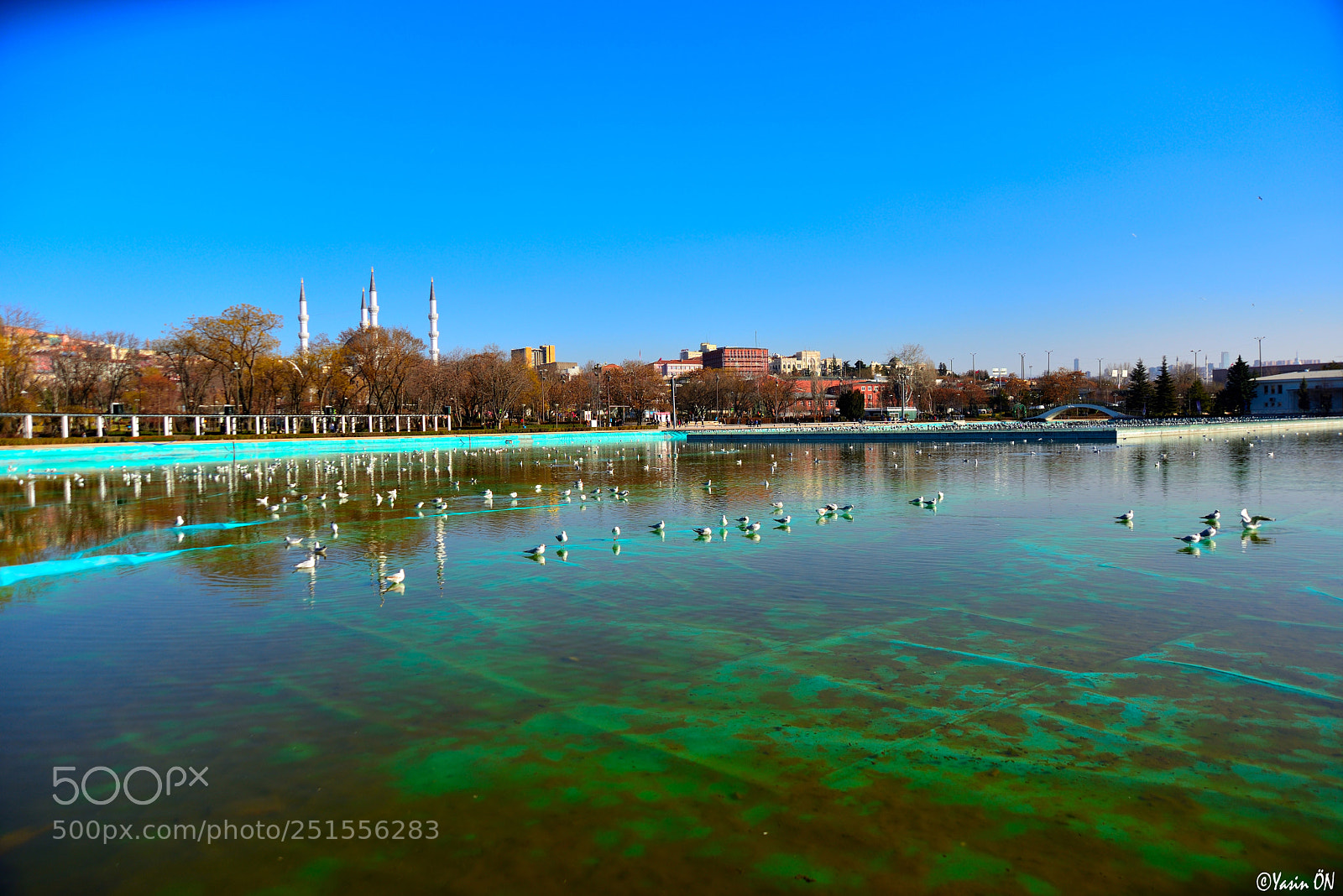 Nikon D610 sample photo. Untitled photography