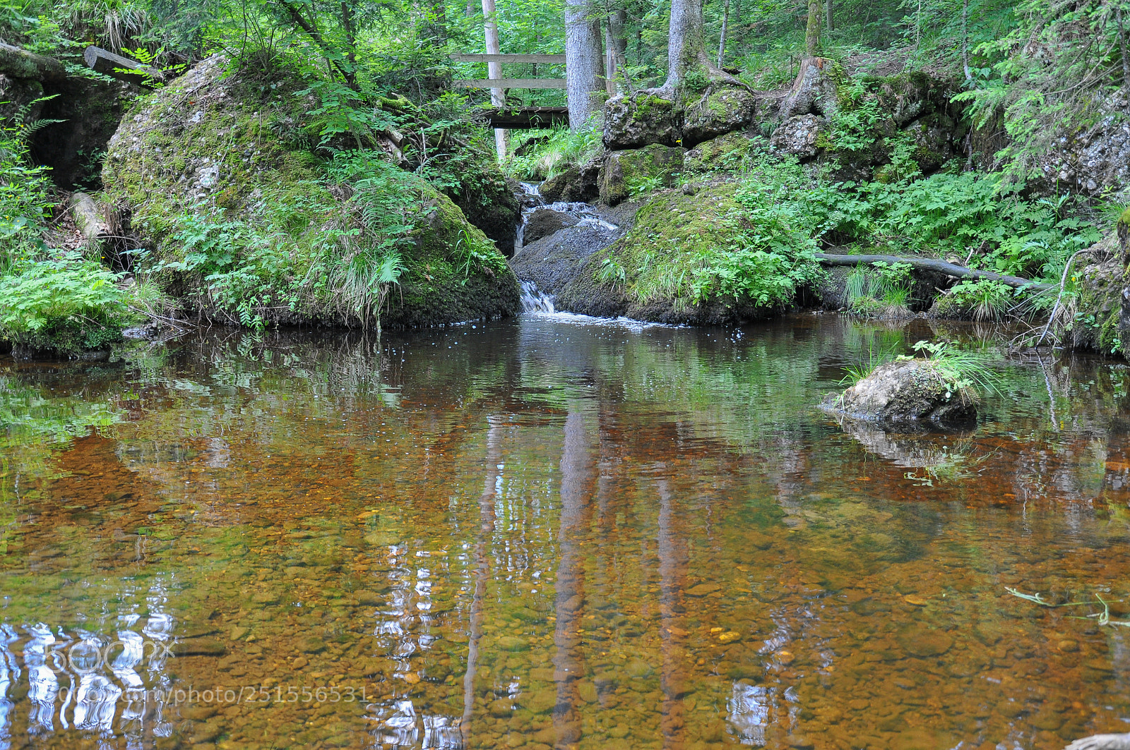 Nikon D90 sample photo. Little lake somewhere photography
