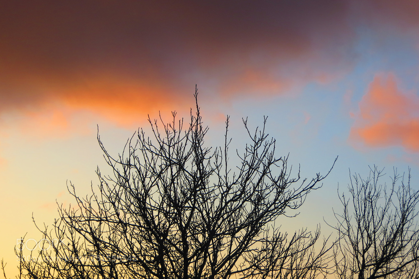 Canon PowerShot SX240 HS sample photo. 695656 photography