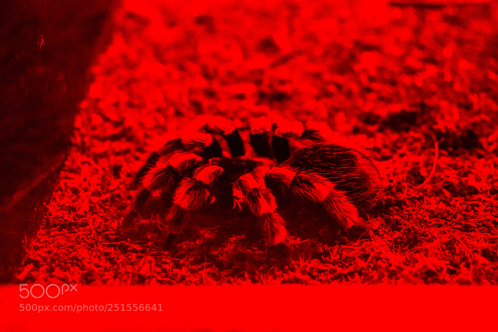 Nikon D610 sample photo. Untitled photography