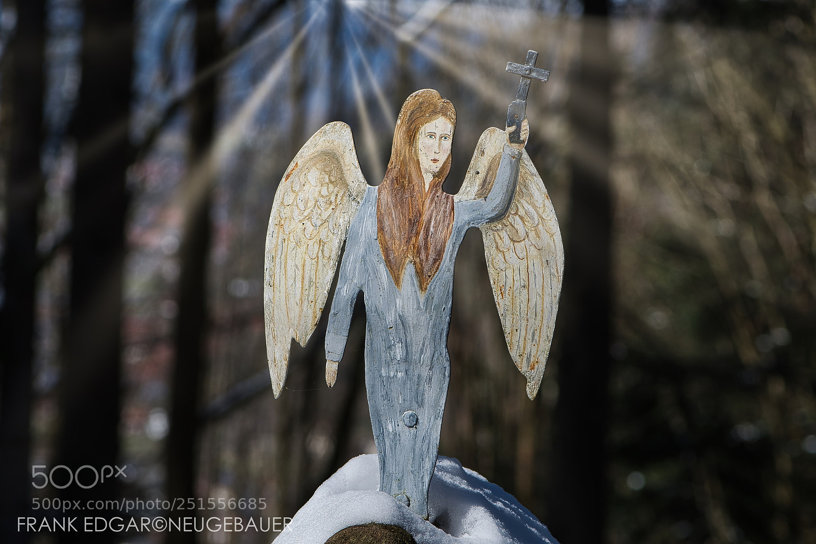 Nikon D500 sample photo. An angel has come... photography