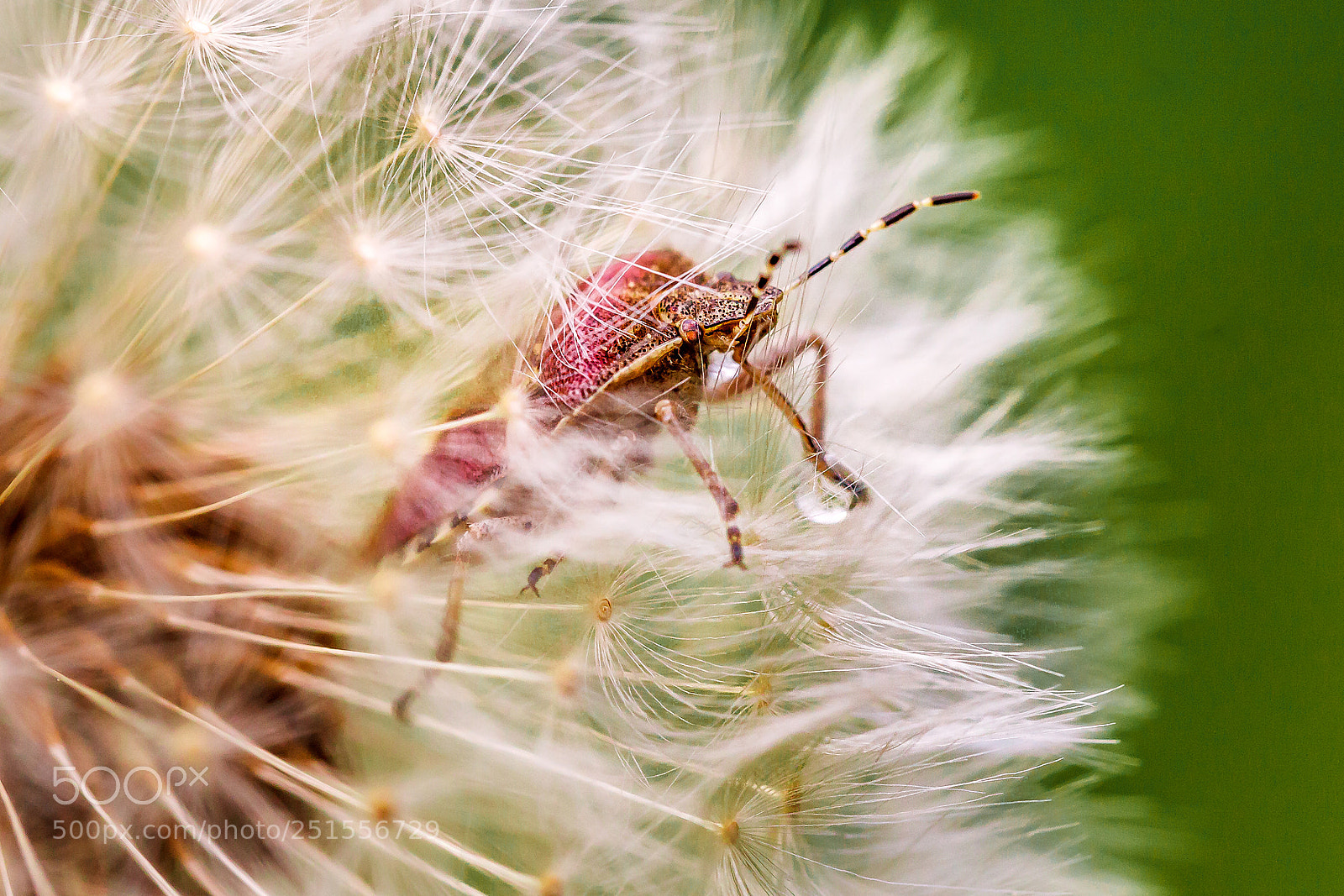 Canon EOS 5D Mark II sample photo. The escape photography