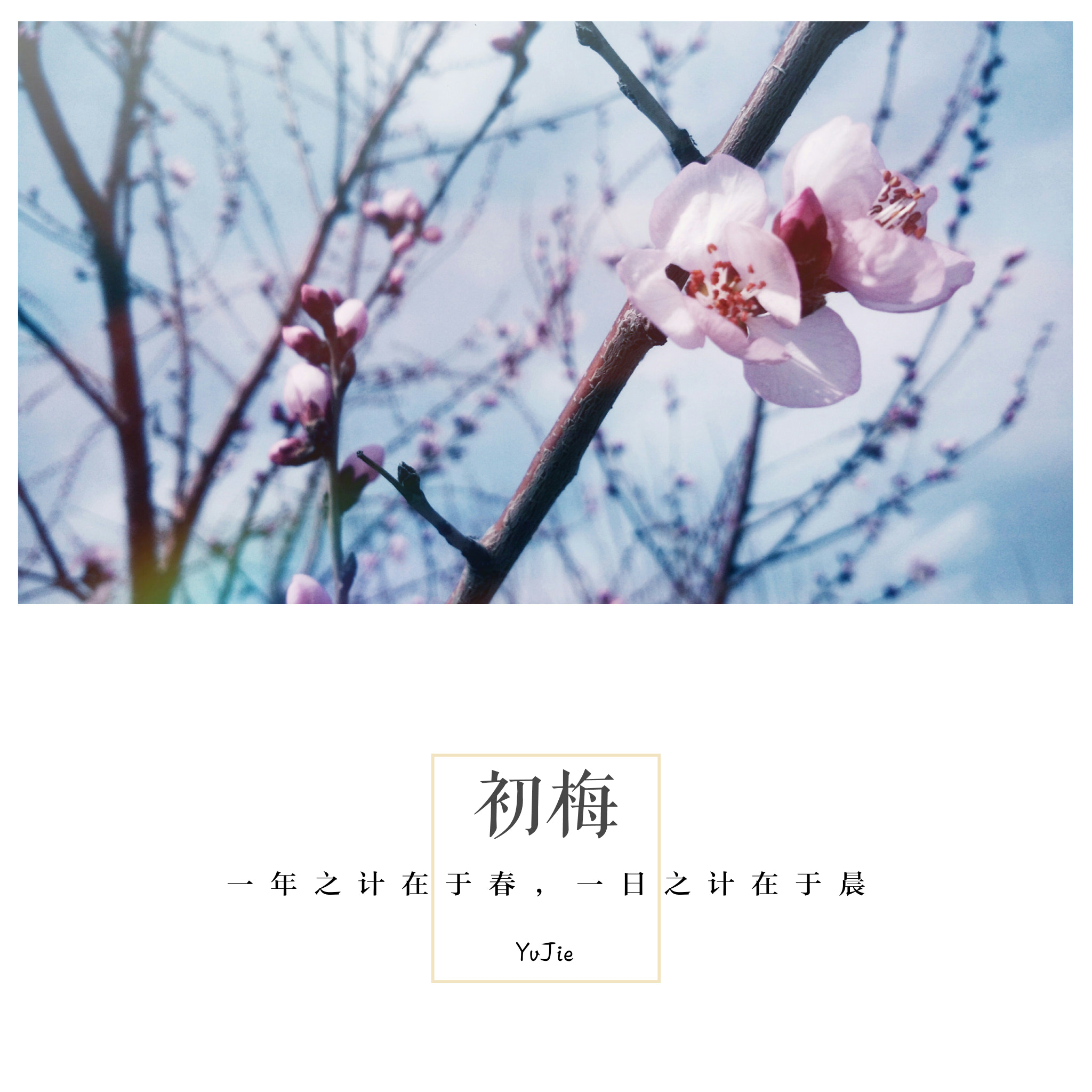Xiaomi MI4 sample photo
