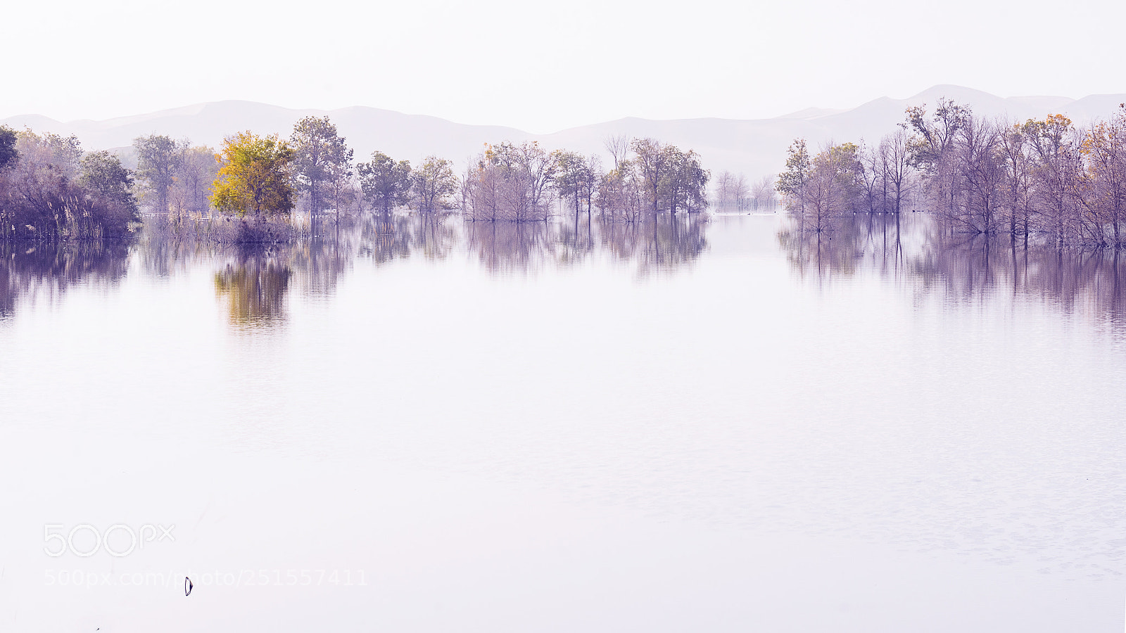 Nikon D7000 sample photo. Shallow in the autumn photography