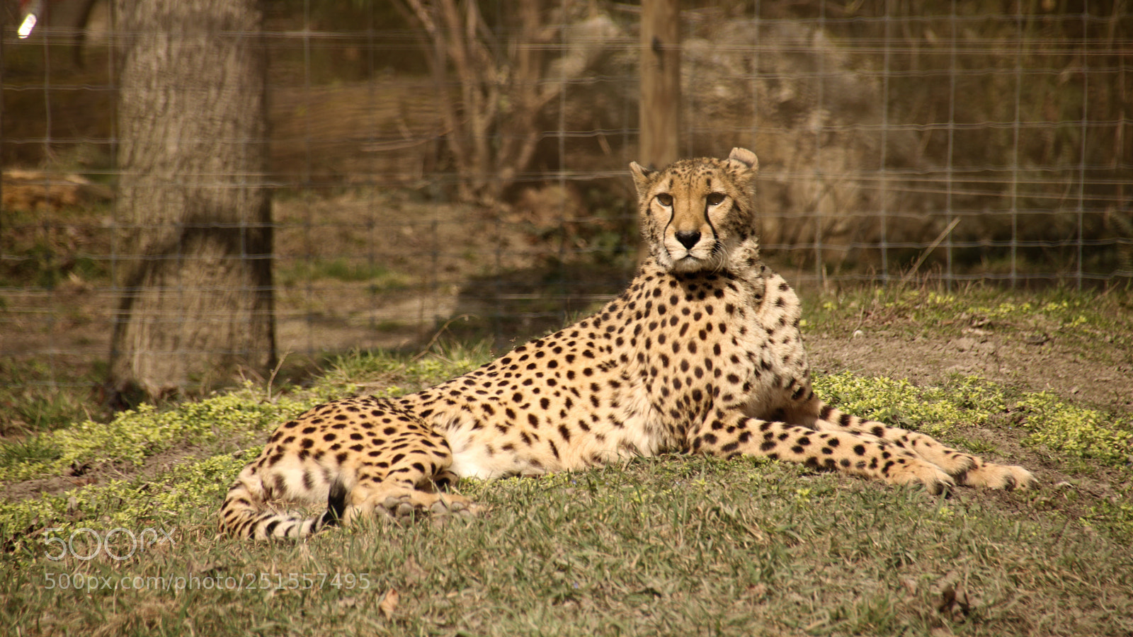 Canon EOS 750D (EOS Rebel T6i / EOS Kiss X8i) sample photo. Safari in wien photography