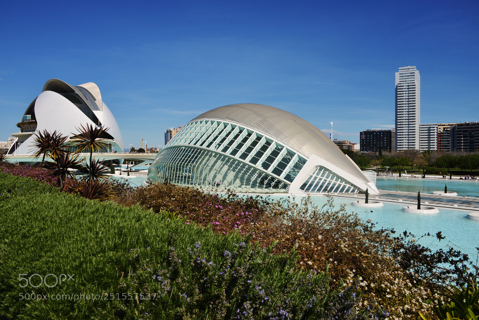 Nikon D800 sample photo. City of arts and photography