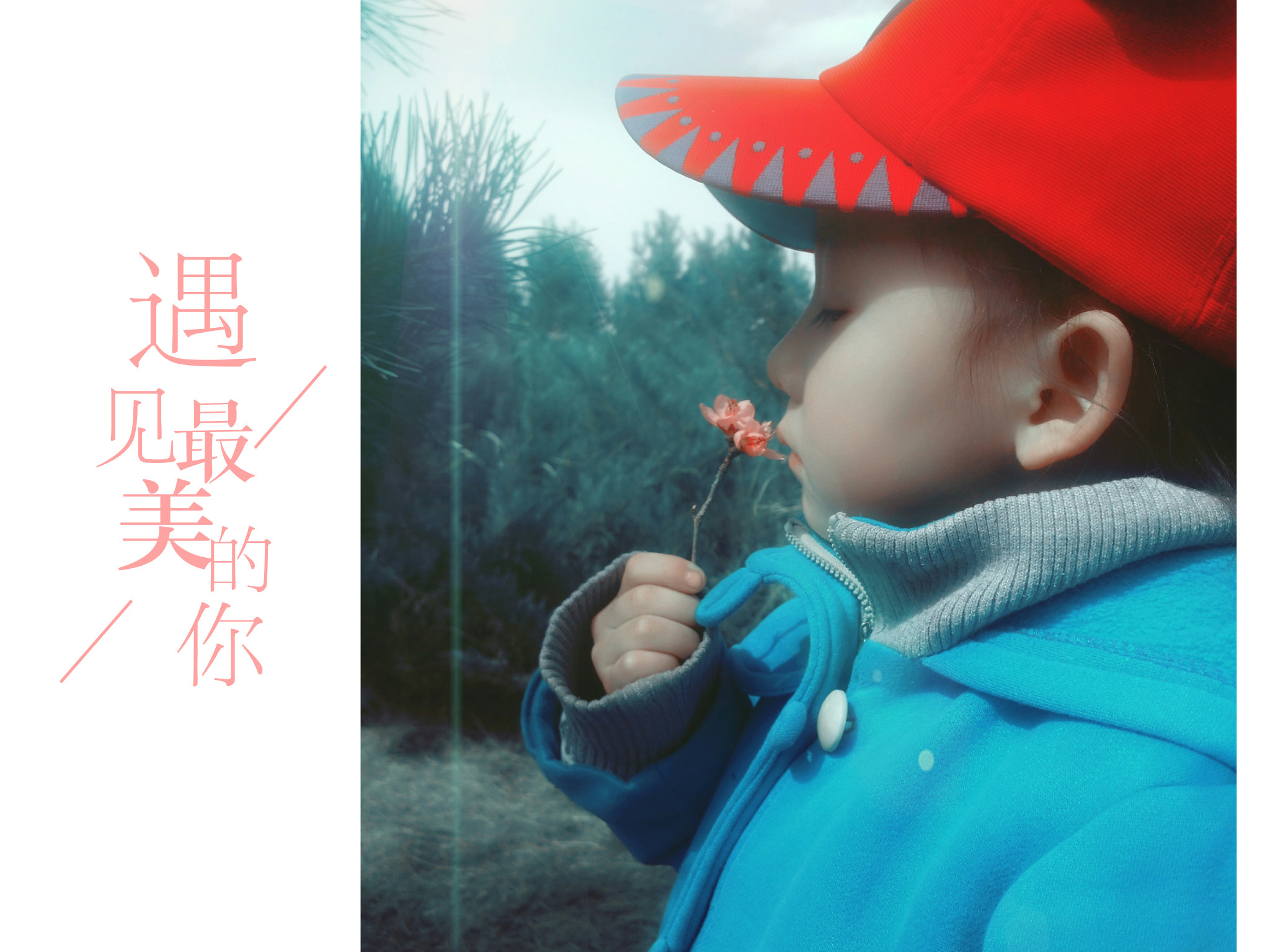 Xiaomi MI4 sample photo