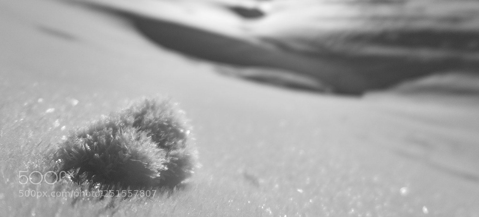 Canon PowerShot G1 X Mark II sample photo. White crystal photography