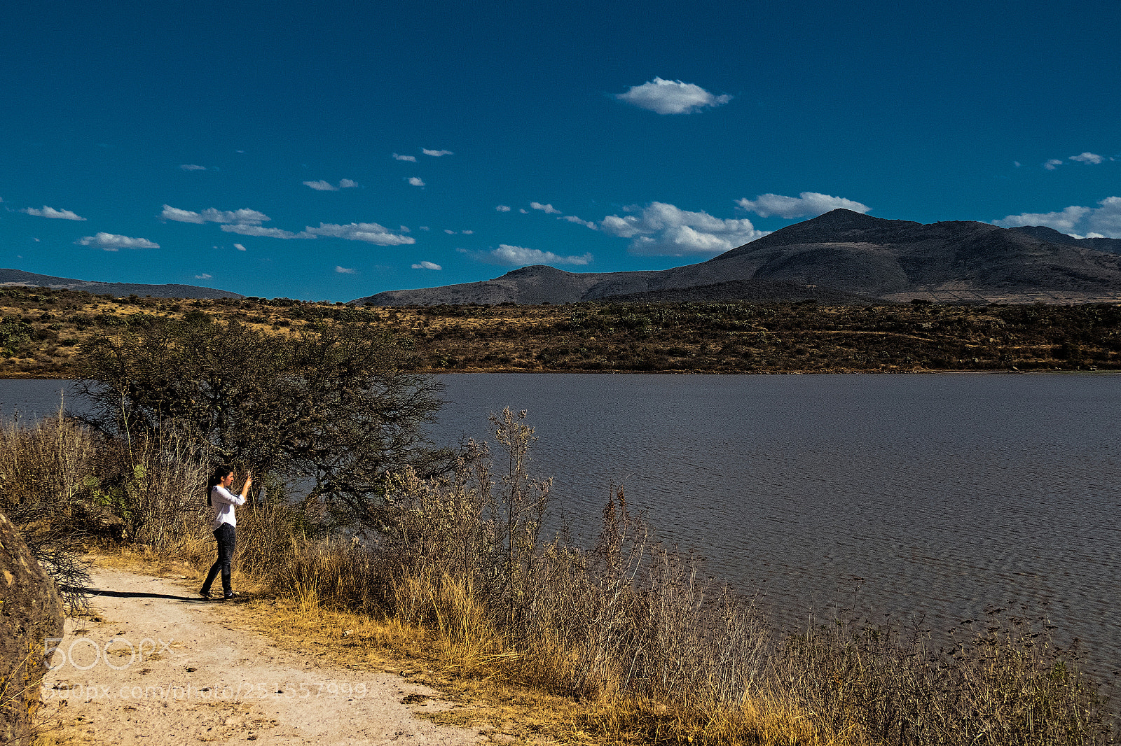 Canon PowerShot SX60 HS sample photo. En la presa. photography