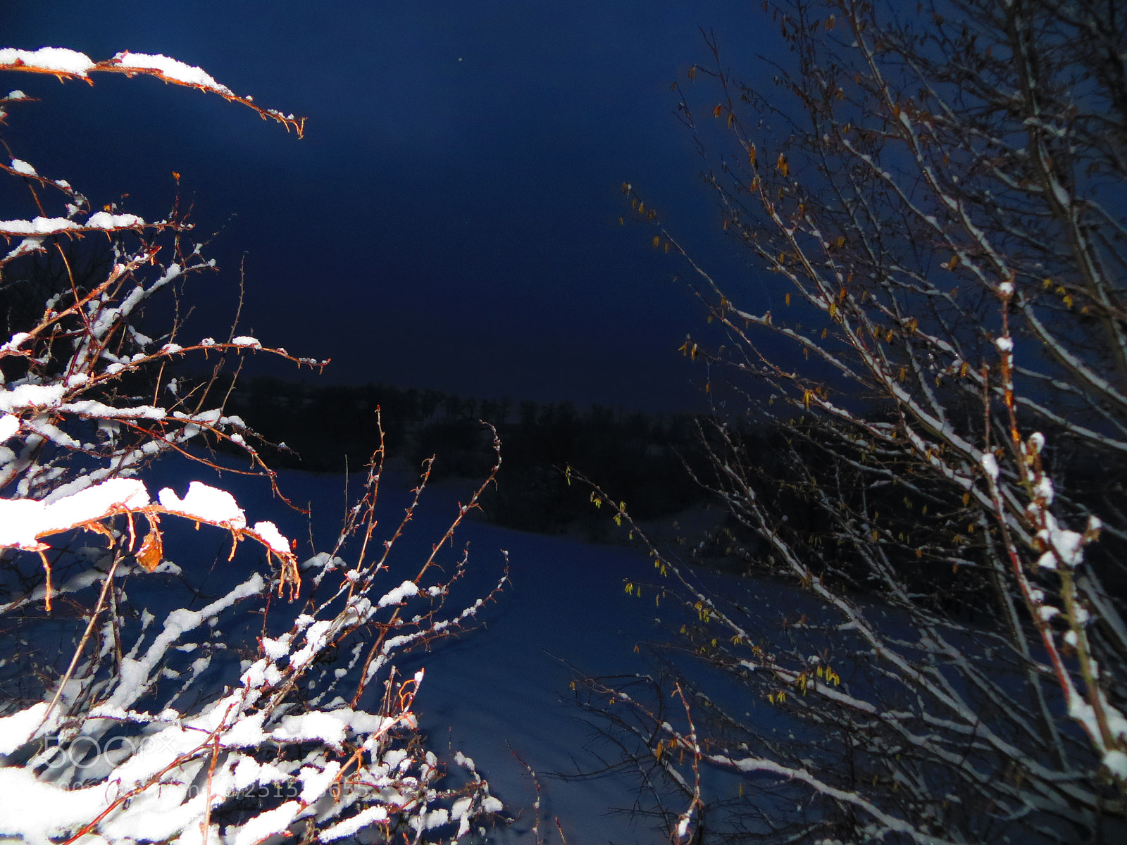 Canon PowerShot SX240 HS sample photo. 84543459899 photography