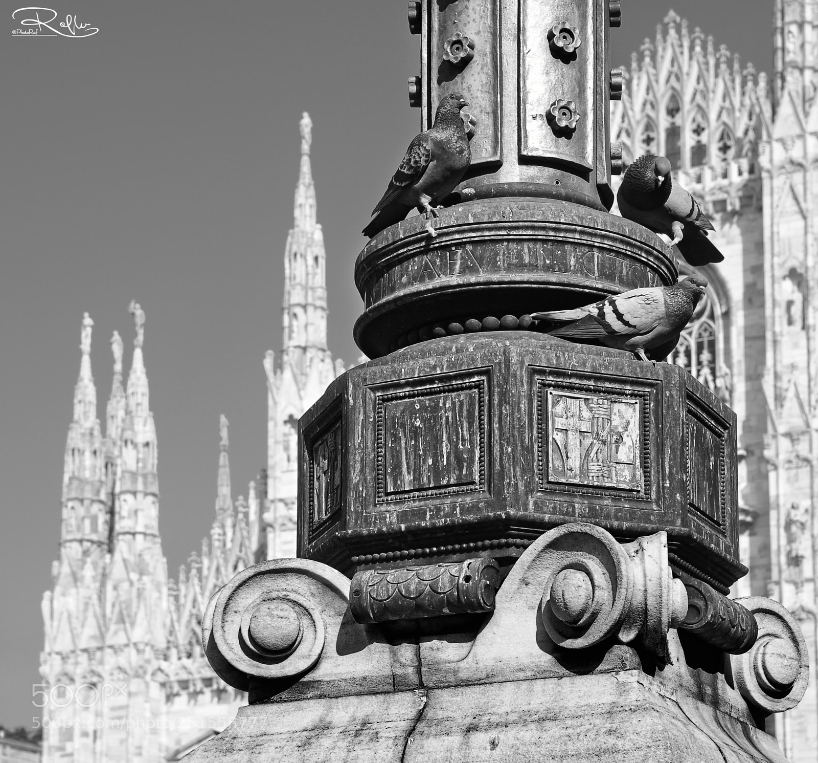 Nikon D3 sample photo. Duomo di milano photography