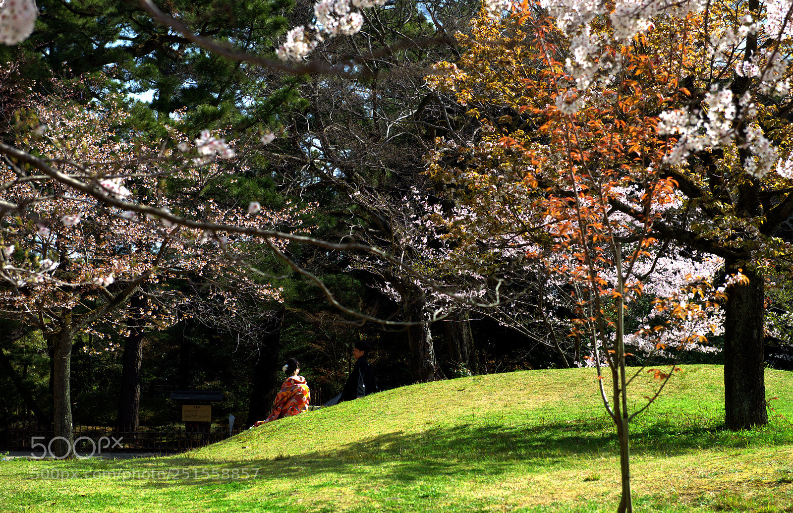 Nikon D800 sample photo. Wedding photography