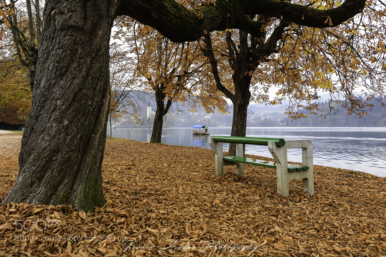 Nikon D7100 sample photo. Fall on bled lake photography