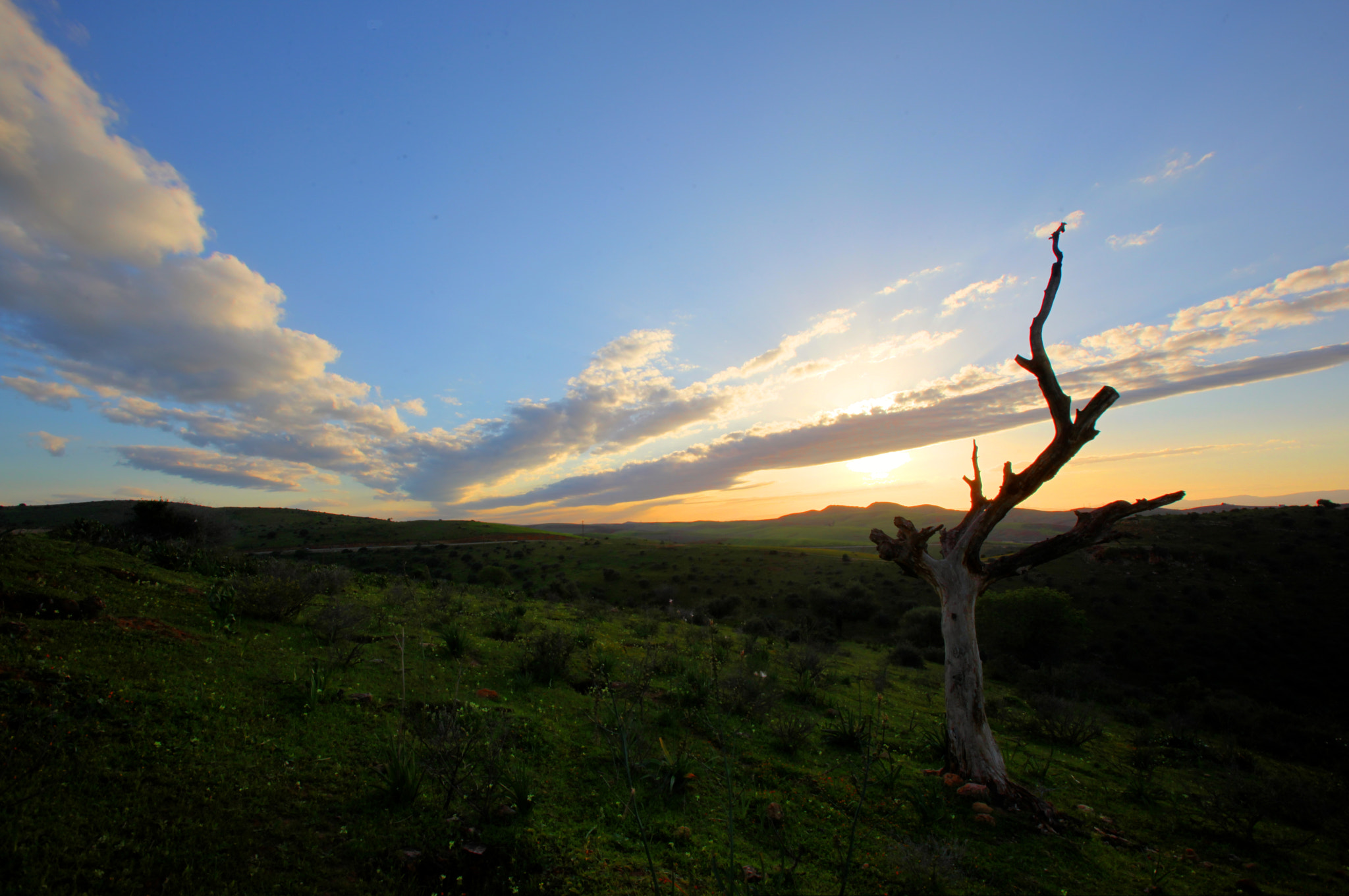 Canon EOS 5D Mark II + Canon EF 16-35mm F2.8L USM sample photo. Loneliness ! photography