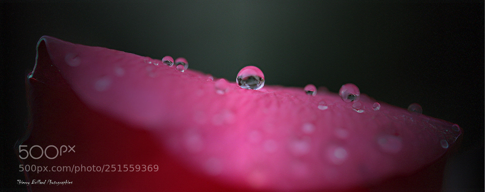Canon EOS 600D (Rebel EOS T3i / EOS Kiss X5) sample photo. The big drop photography