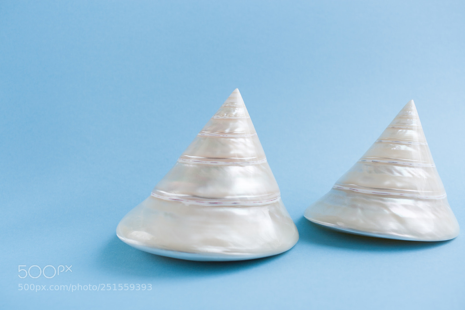 Canon EOS 400D (EOS Digital Rebel XTi / EOS Kiss Digital X) sample photo. Two white conical mother-of-pearl photography