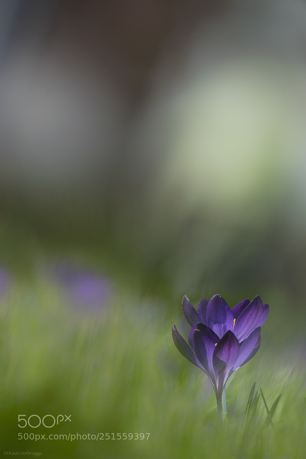 Nikon D5300 sample photo. Dubble photography